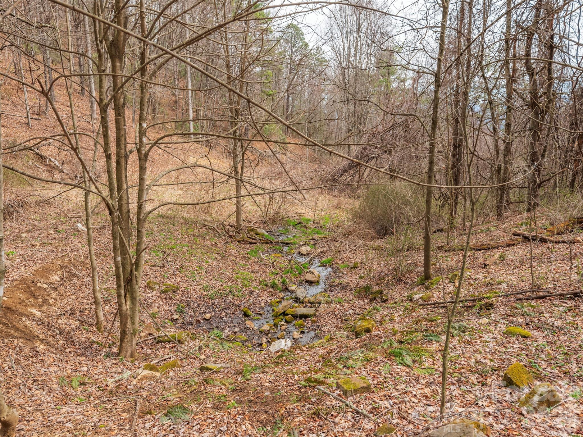 000 Sigogglin Road #17 - Photo 9