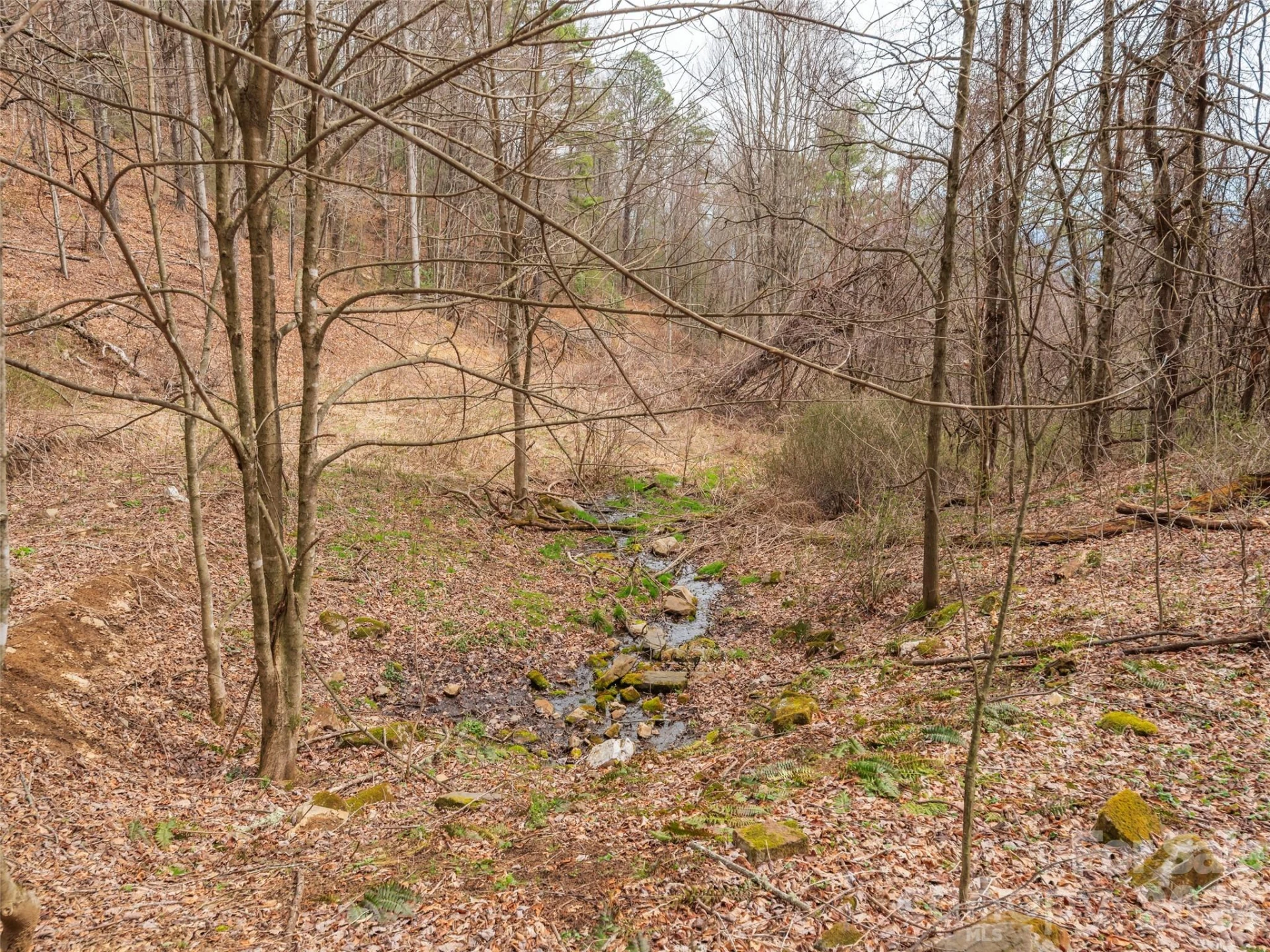 000 Sigogglin Road #17 - Photo 9