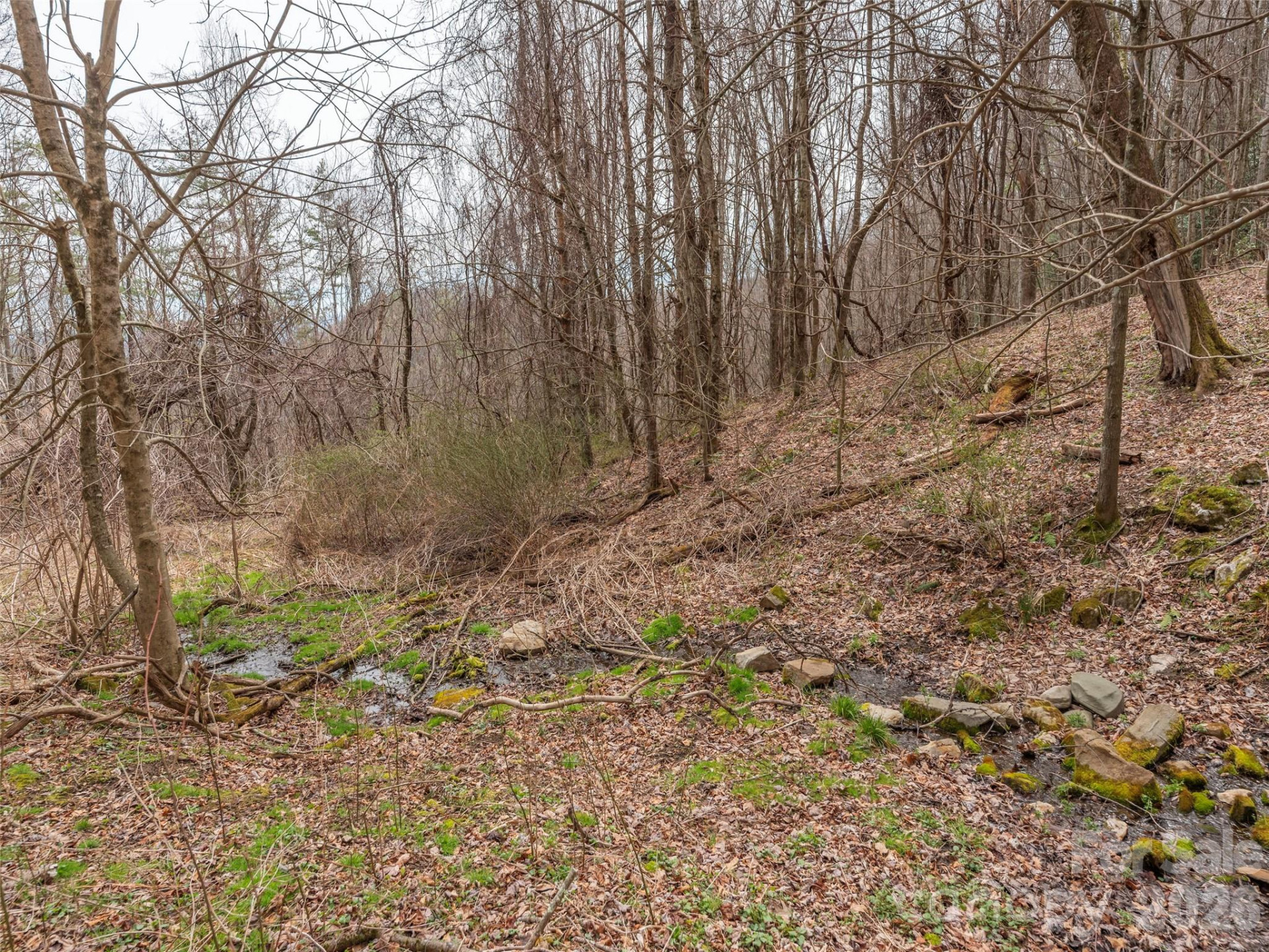 000 Sigogglin Road #17 - Photo 10