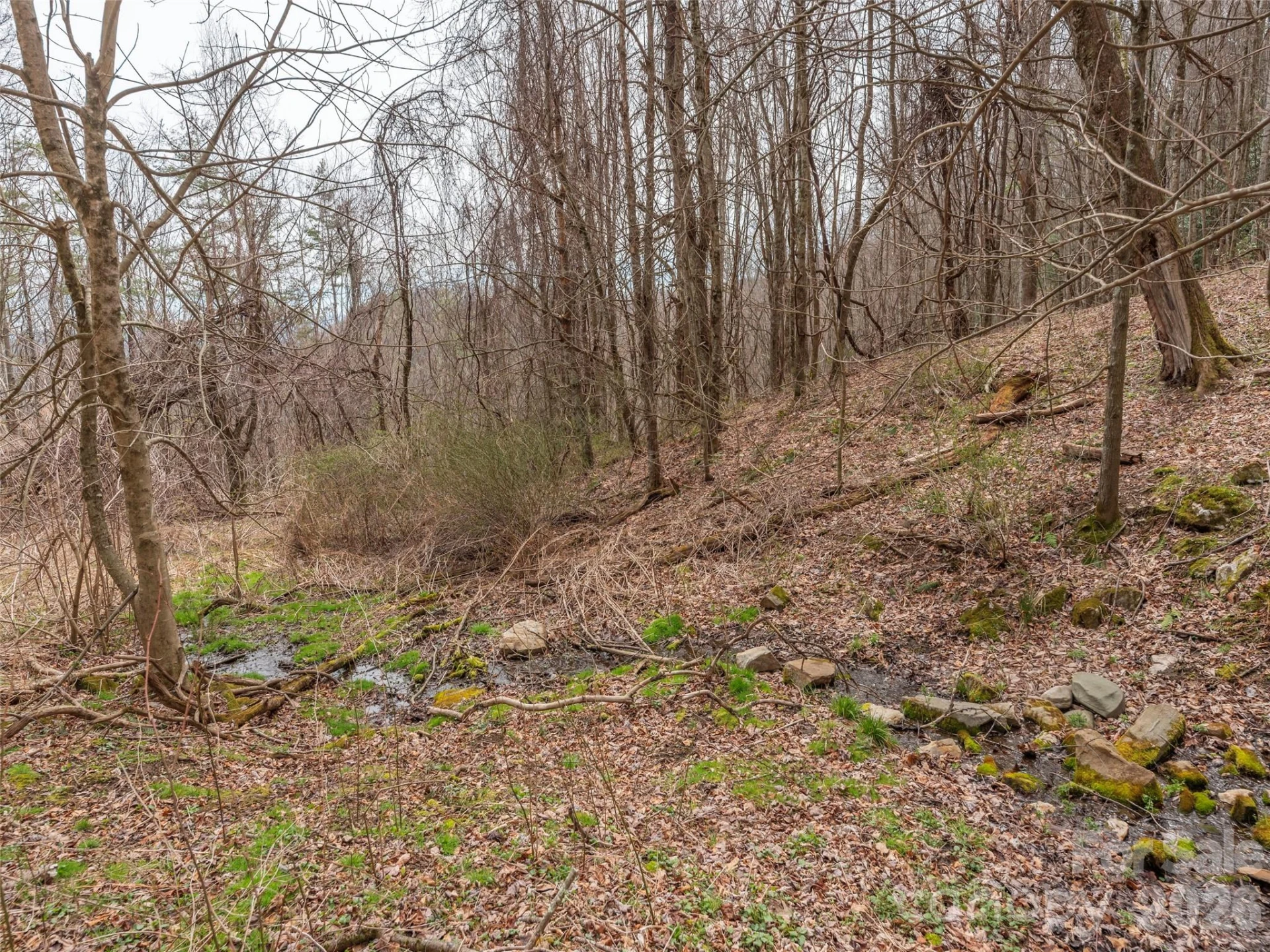 000 Sigogglin Road #17 - Photo 10