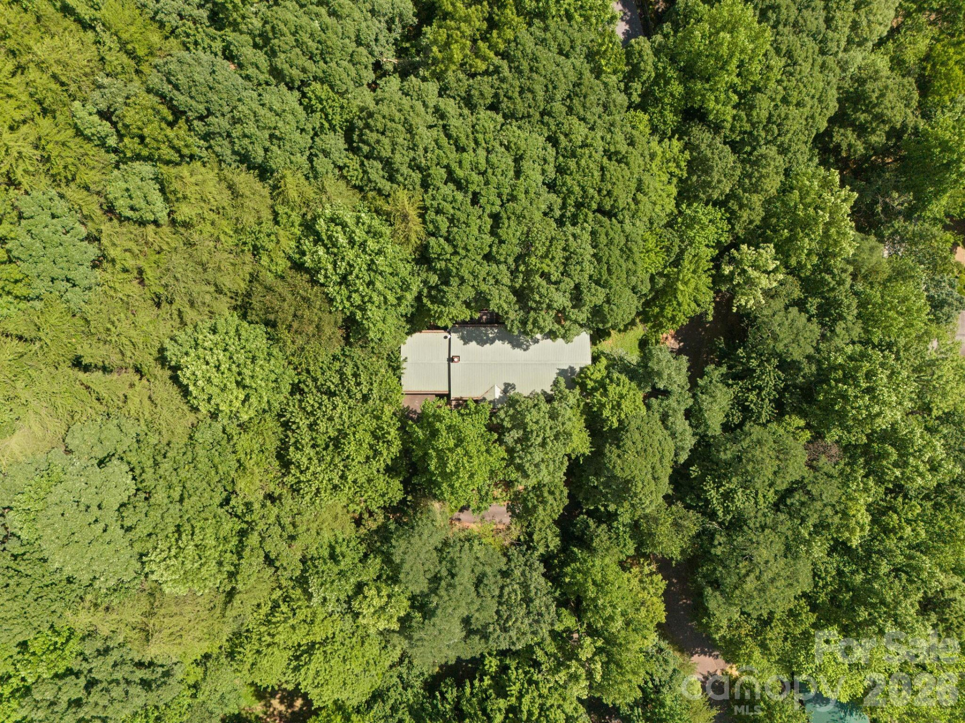 56 Cardinal Circle - Photo 33