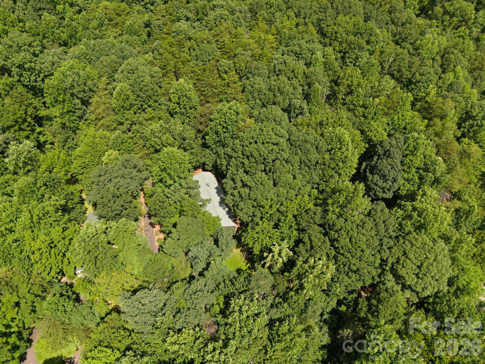 56 Cardinal Circle - Photo 35