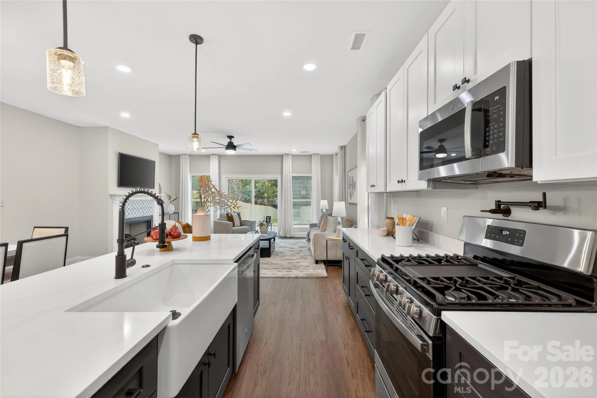 3217 Credenza Road - Photo 2