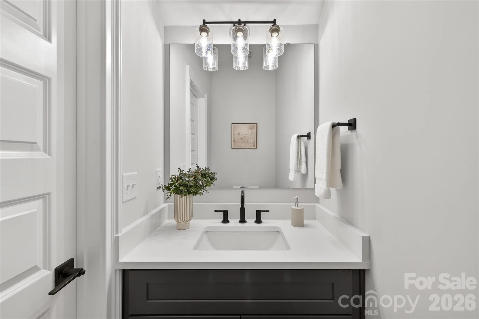 3217 Credenza Road - Photo 11