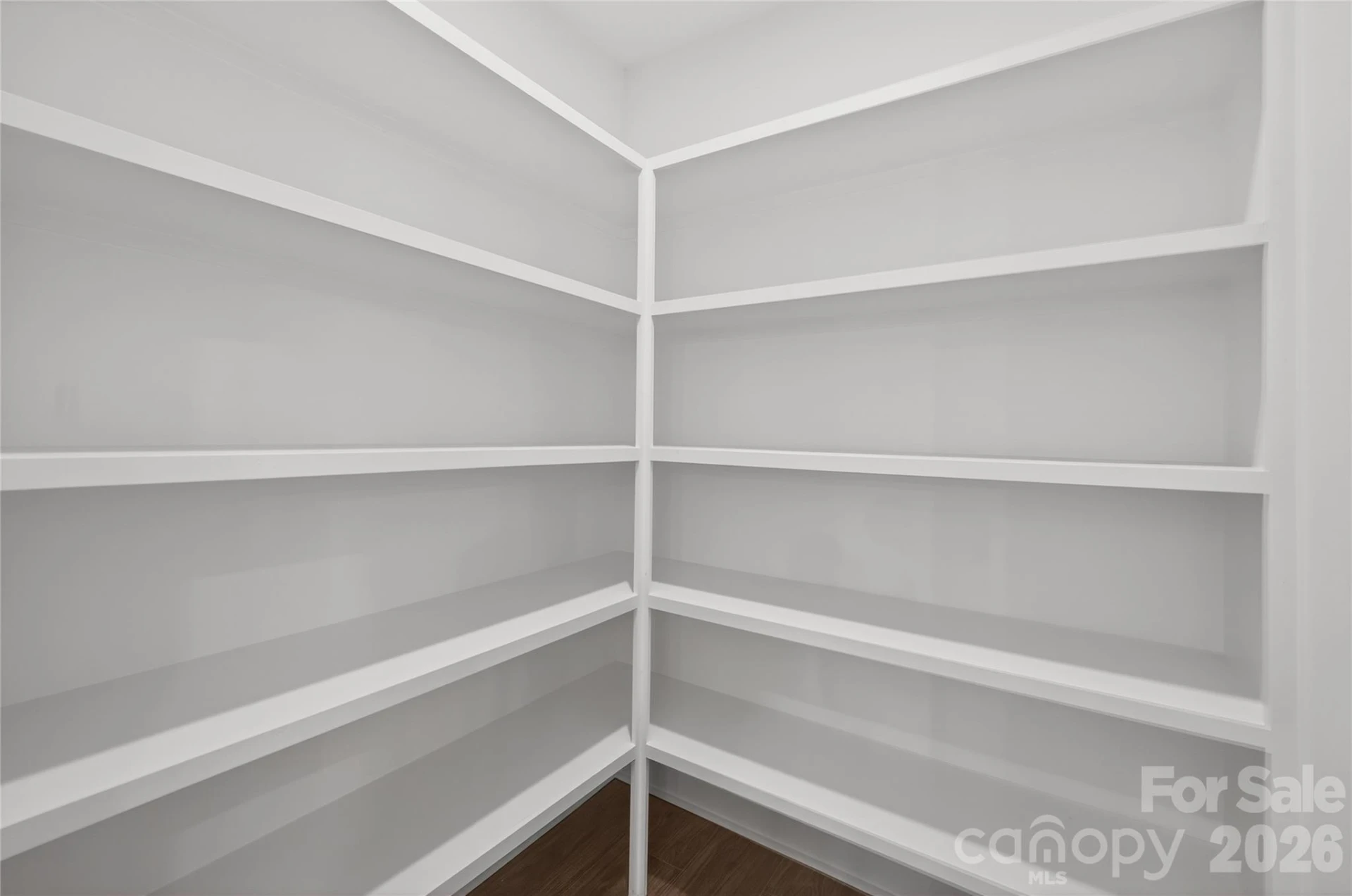 3217 Credenza Road - Photo 6