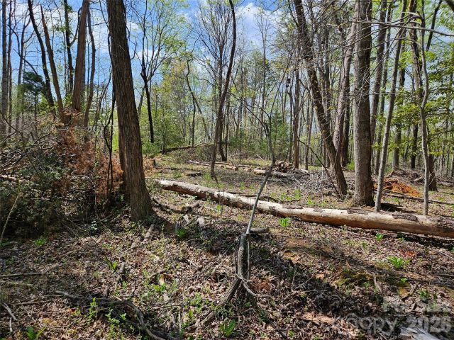 0 Whitney Boulevard, Lake Lure, NC, 28746