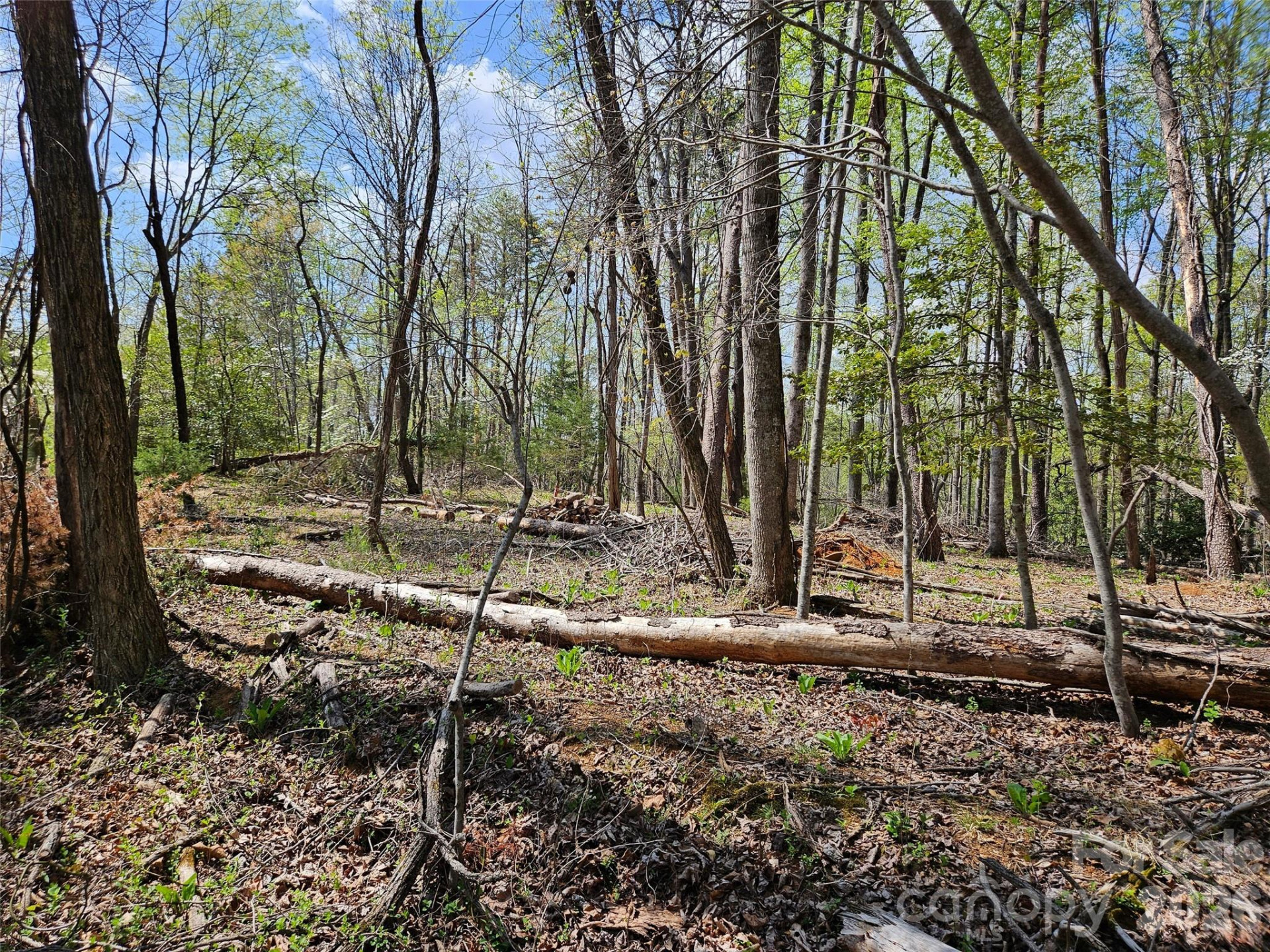 0 Whitney Boulevard #57 - Photo 2