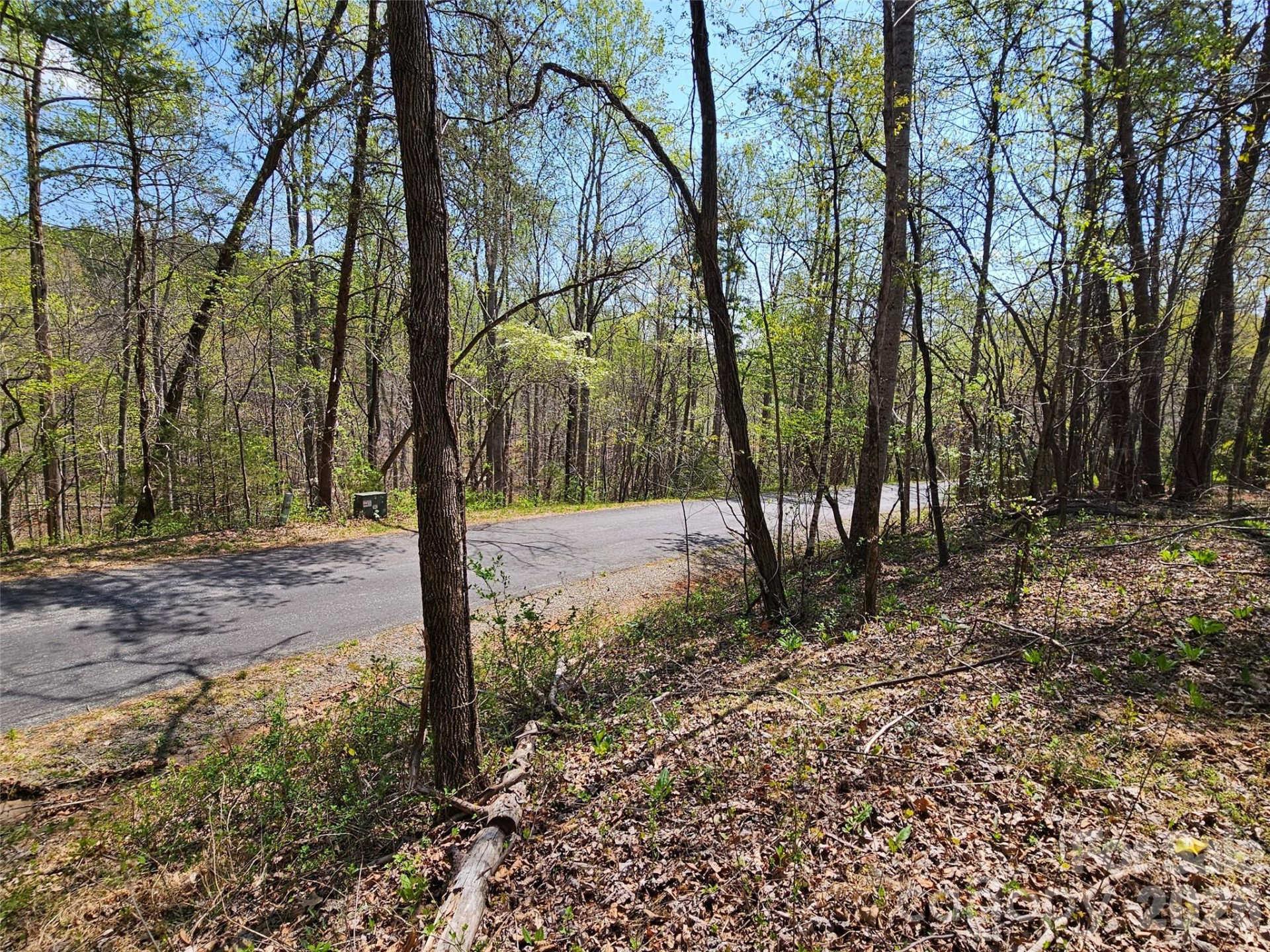 0 Whitney Boulevard #57 - Photo 3