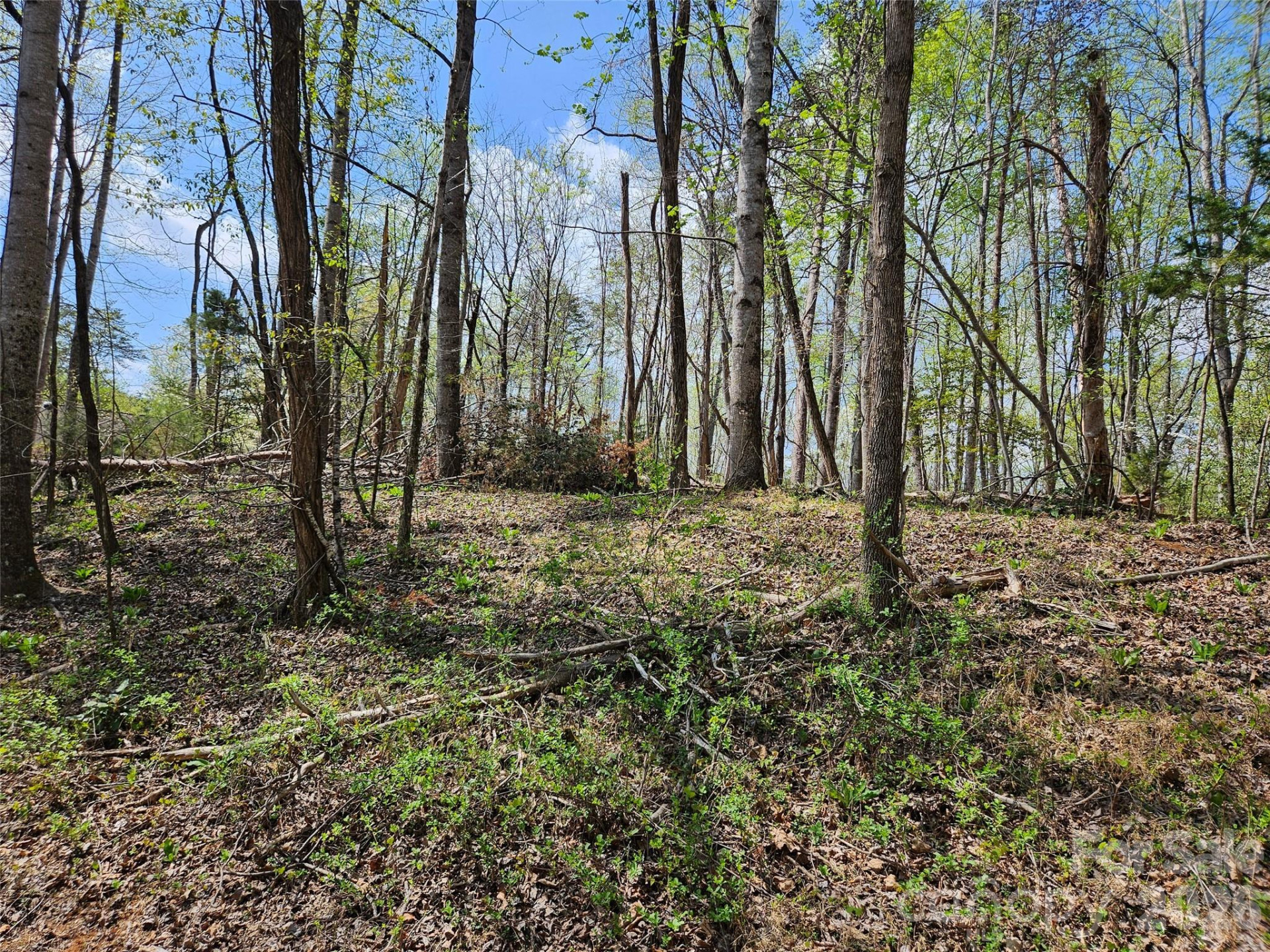 0 Whitney Boulevard #57 - Photo 4