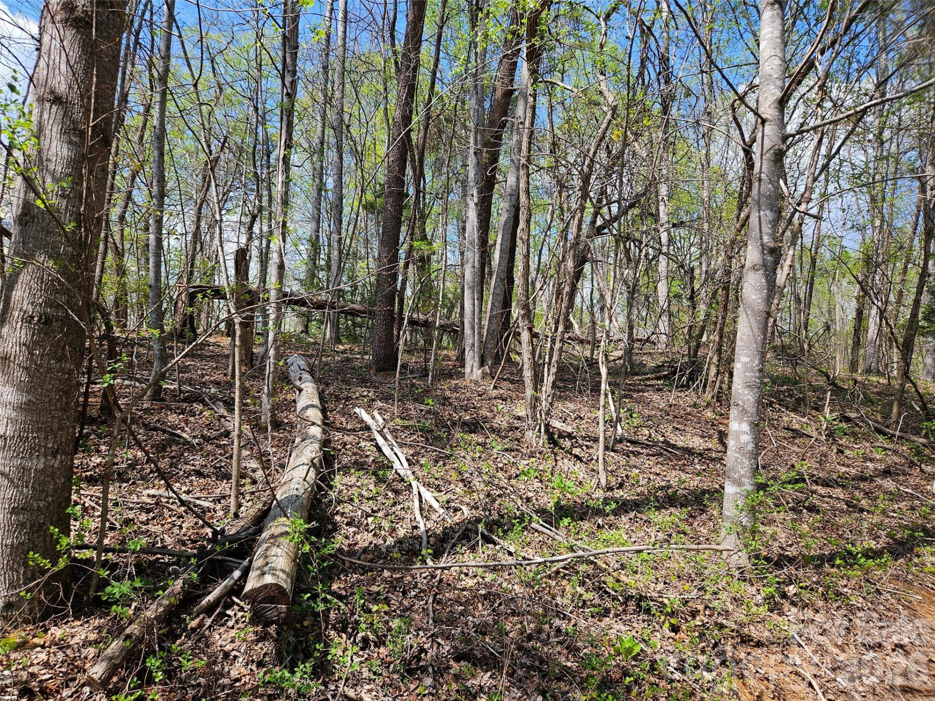 0 Whitney Boulevard #57 - Photo 5