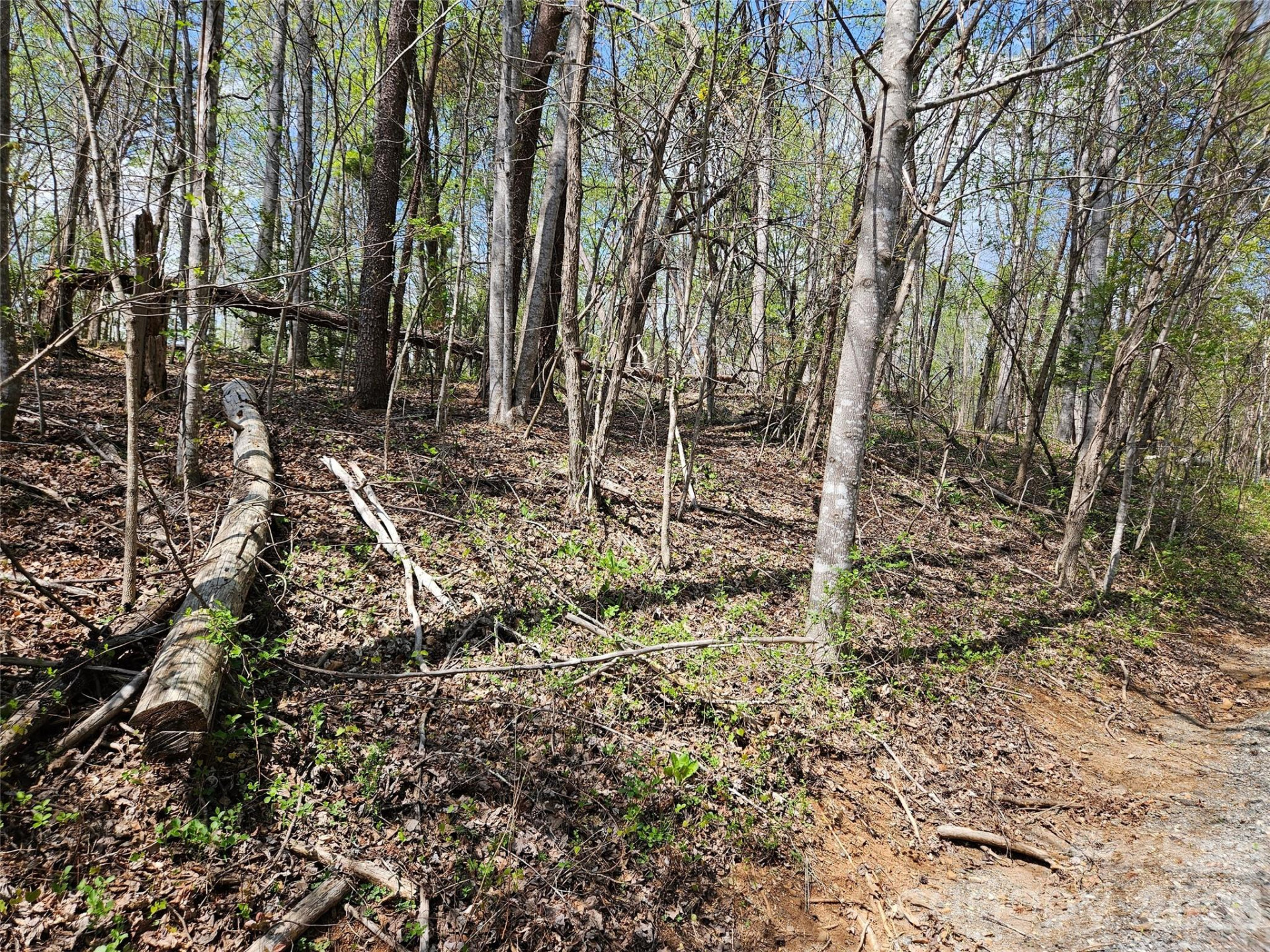 0 Whitney Boulevard #57 - Photo 6