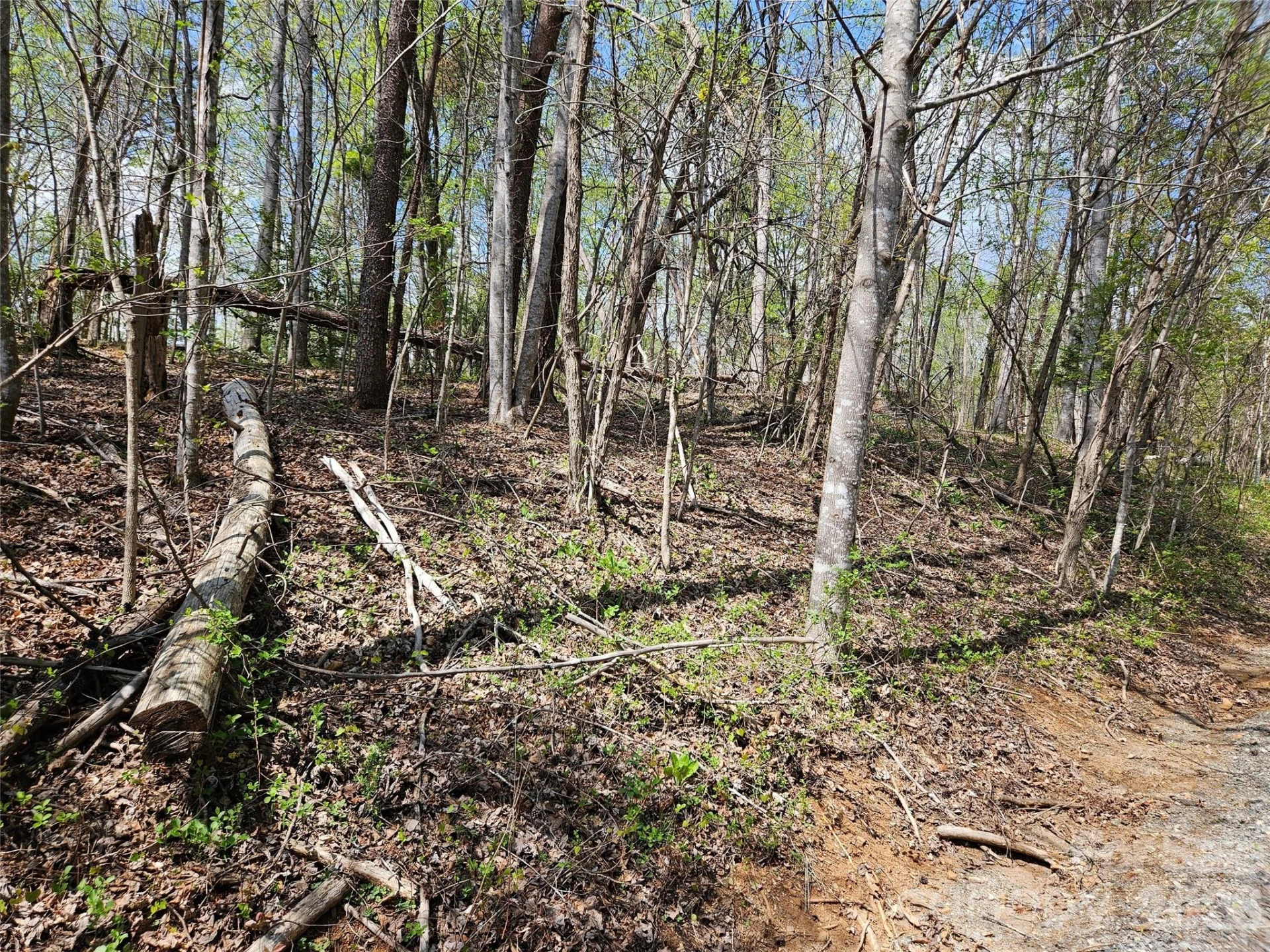 0 Whitney Boulevard #57 - Photo 6