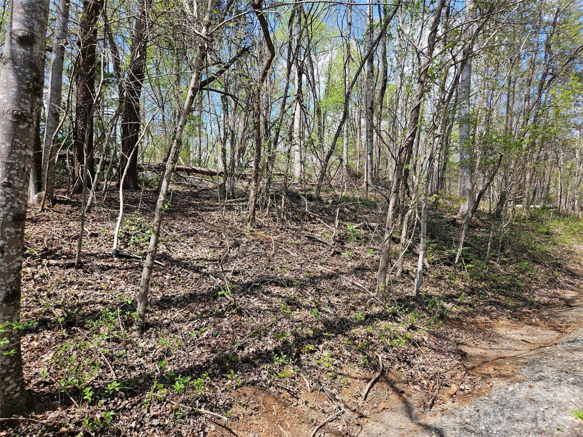 0 Whitney Boulevard #57 - Photo 7