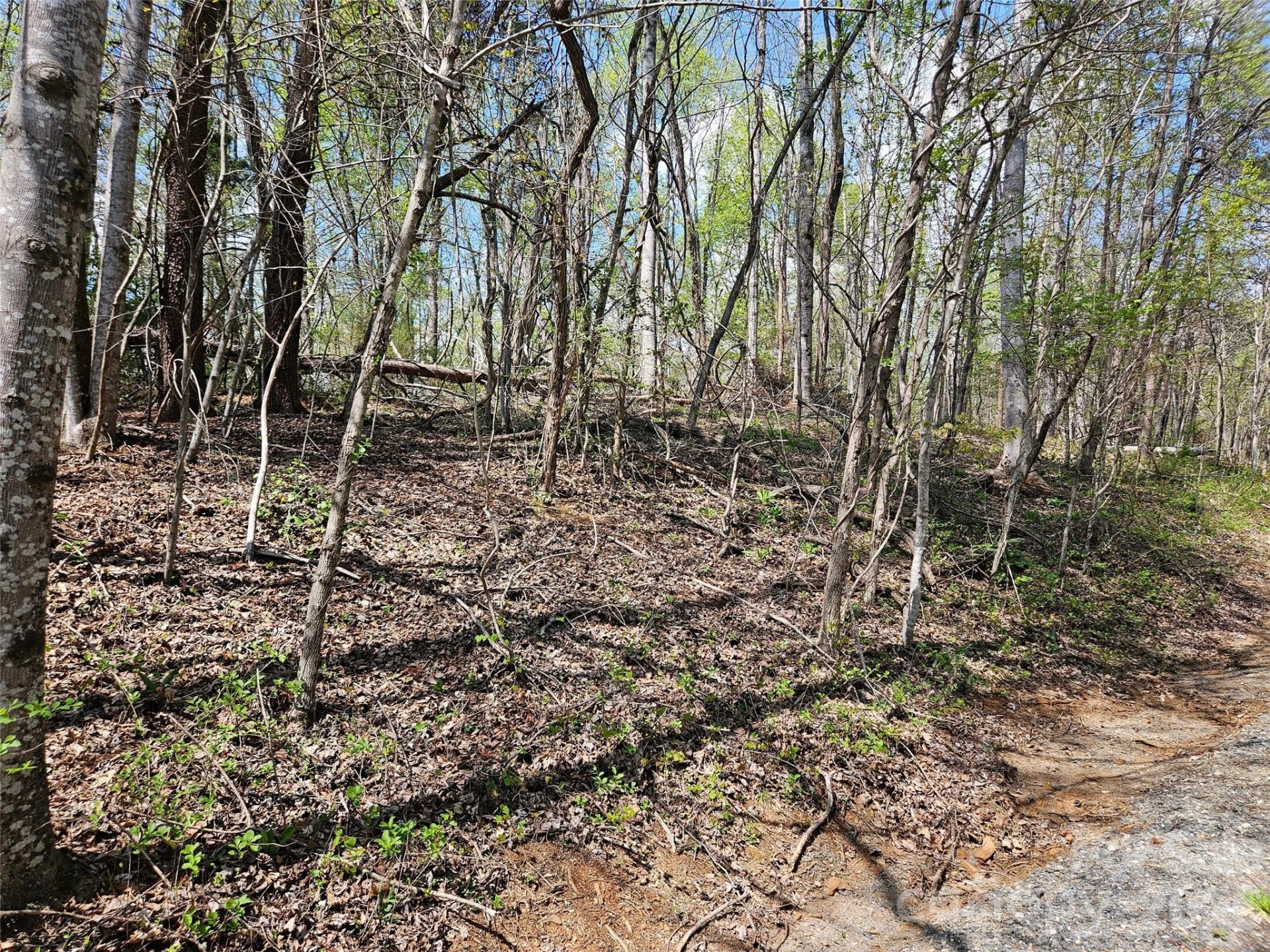 0 Whitney Boulevard #57 - Photo 7