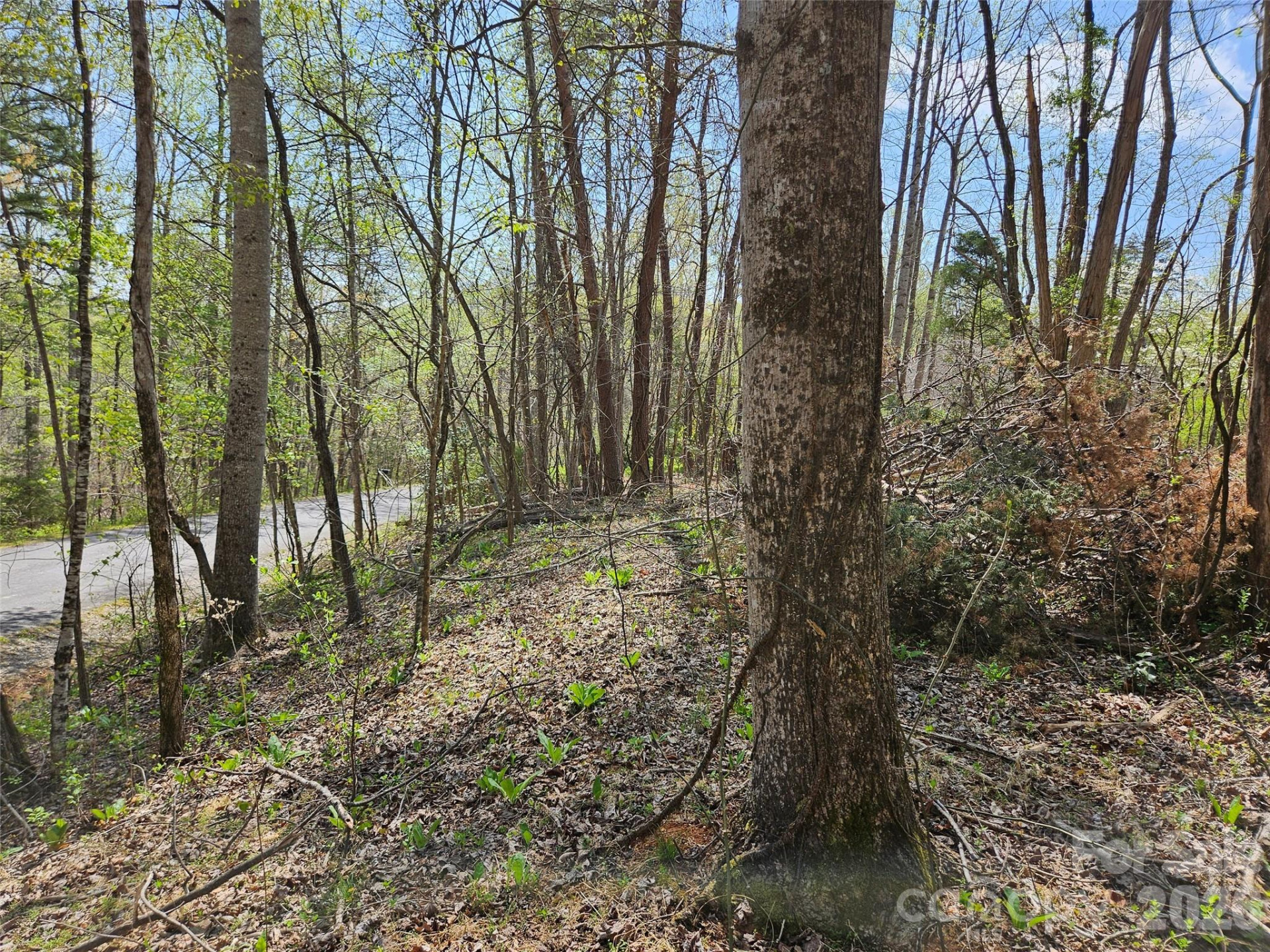 0 Whitney Boulevard #57 - Photo 8