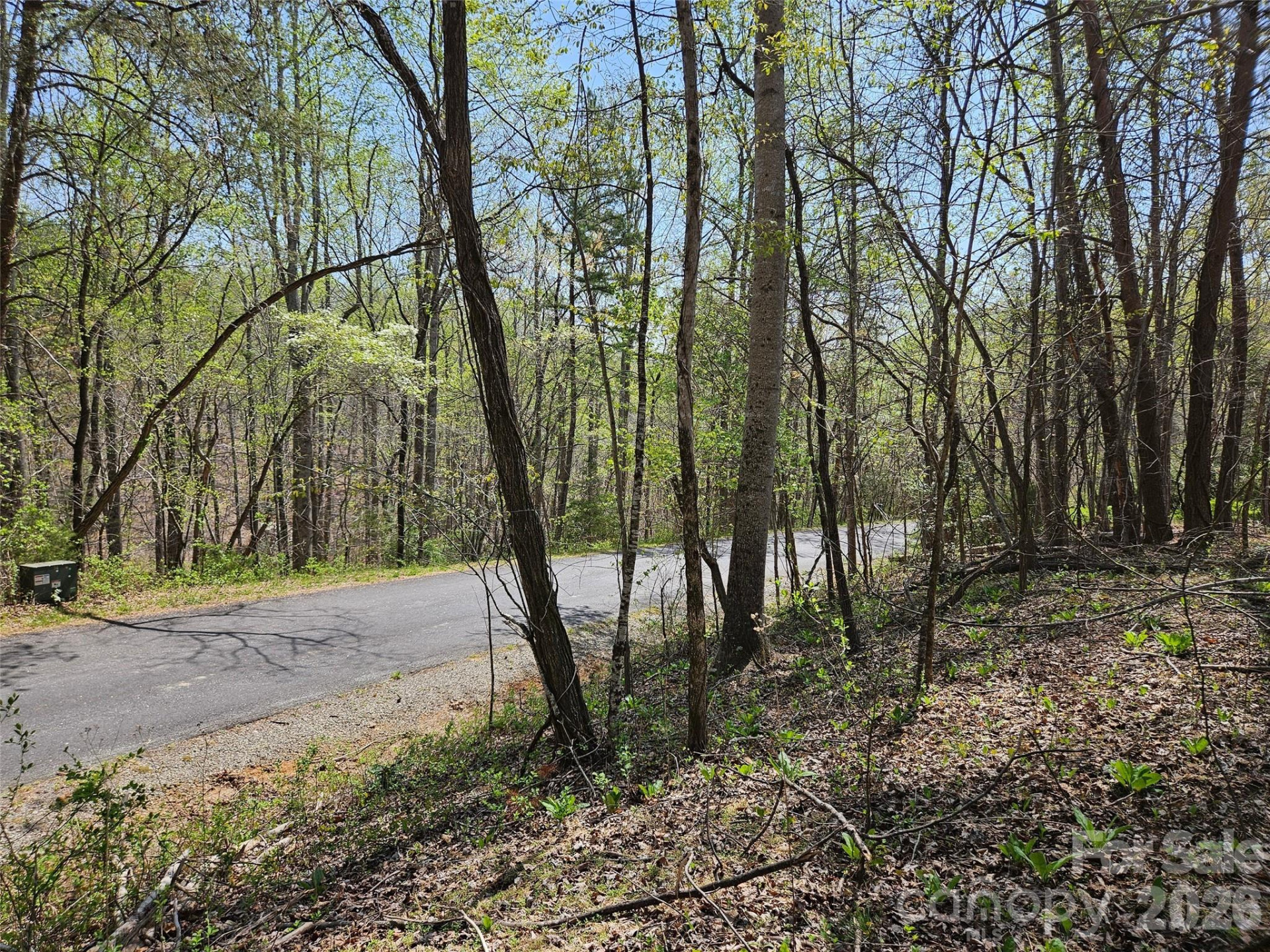 0 Whitney Boulevard #57 - Photo 9