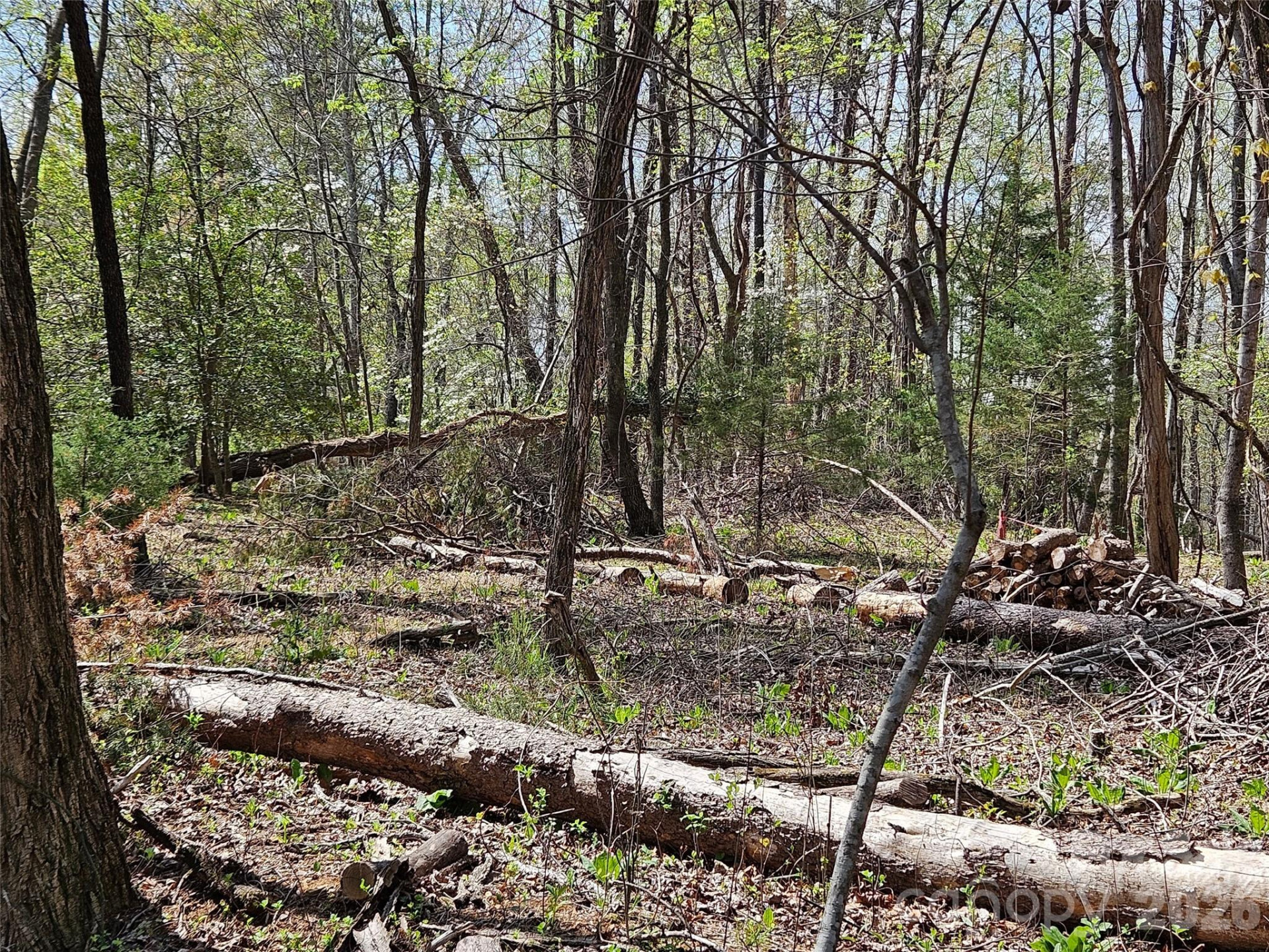 0 Whitney Boulevard #57 - Photo 10