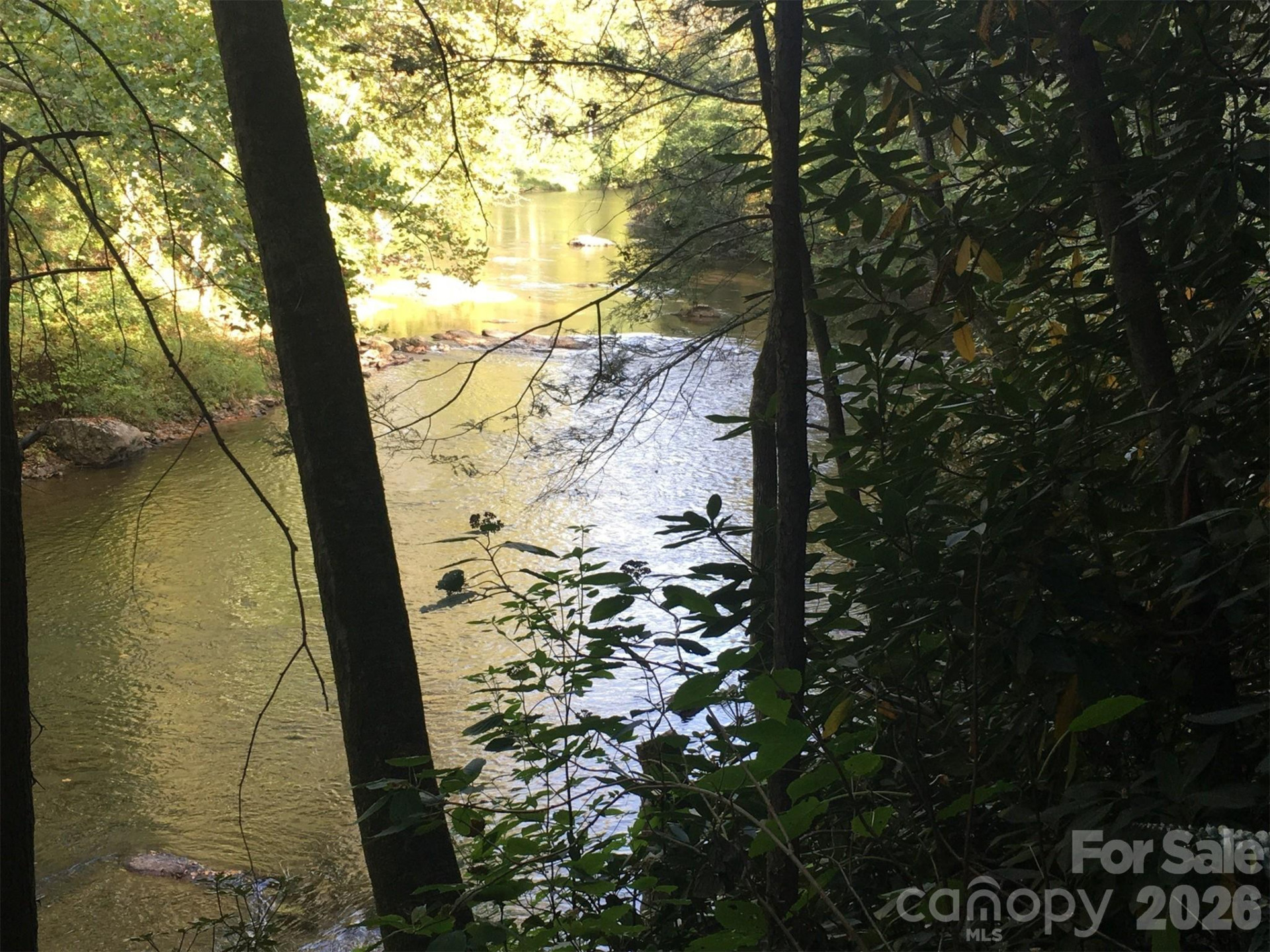 000 River Way - Photo 2