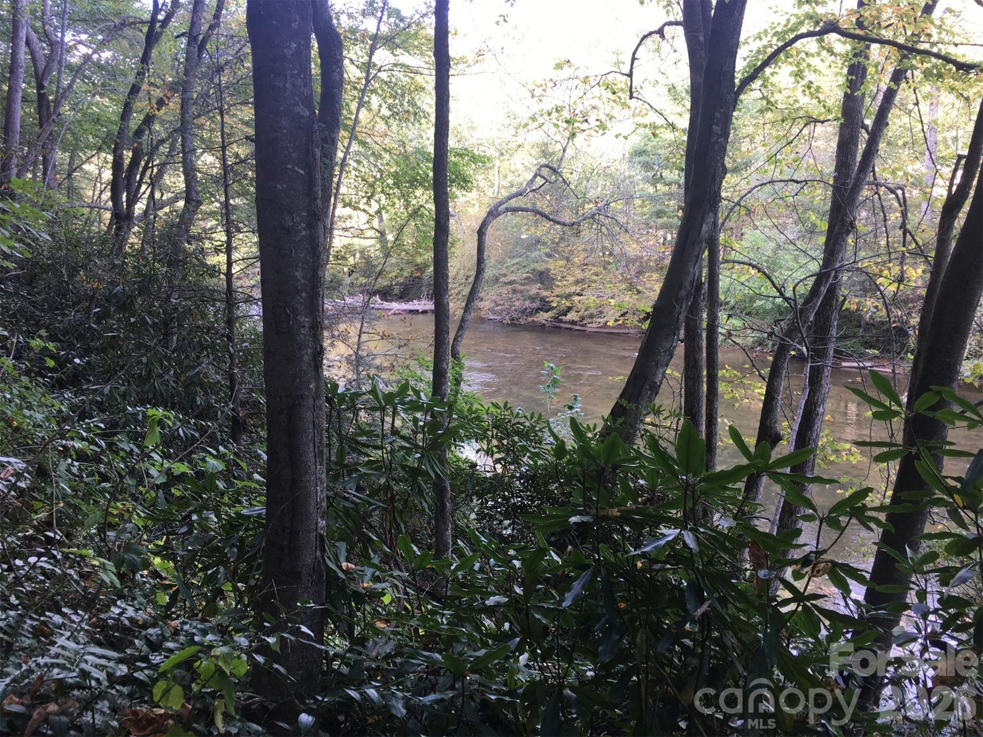 000 River Way - Photo 4