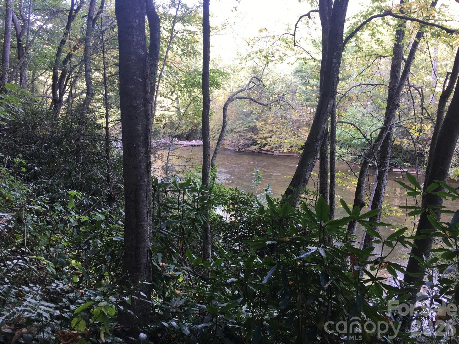000 River Way - Photo 5
