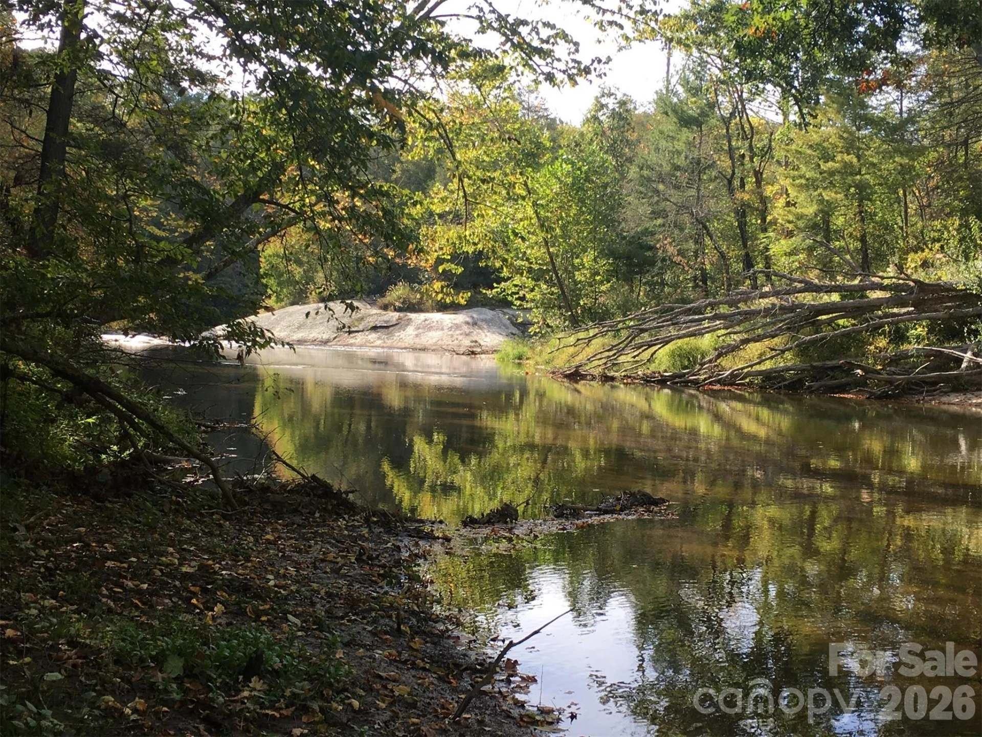 000 River Way - Photo 6