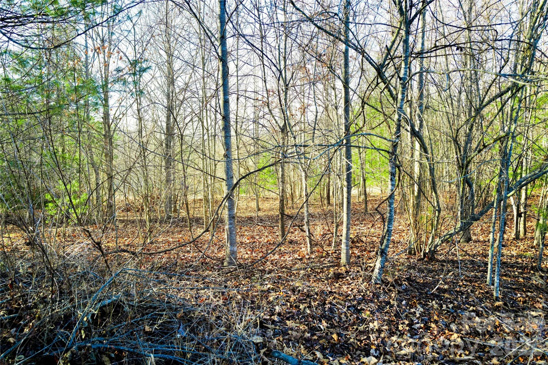 000 River Way - Photo 9