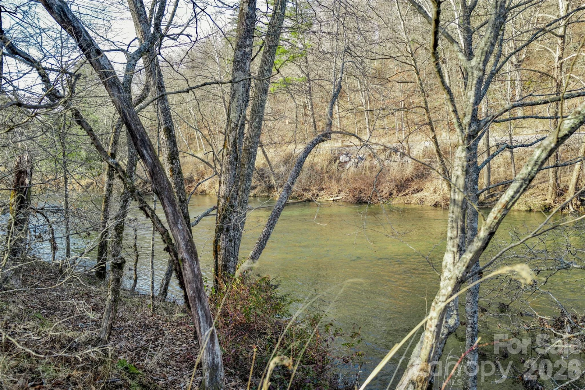 000 River Way - Photo 10