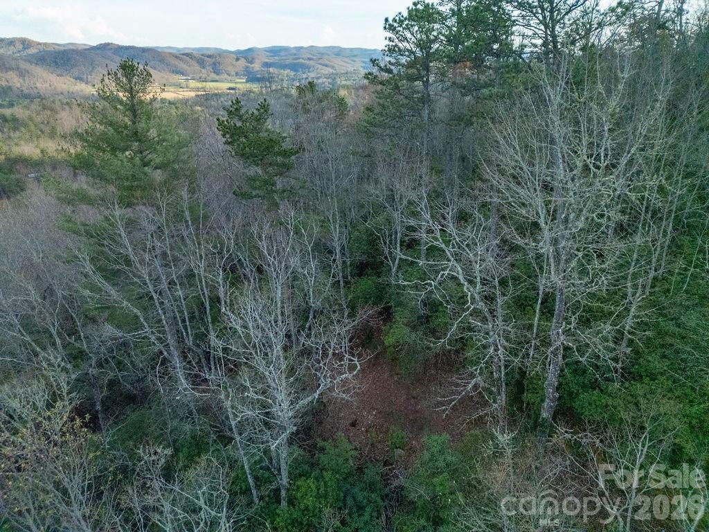 410 Forest Lake Road - Photo 43