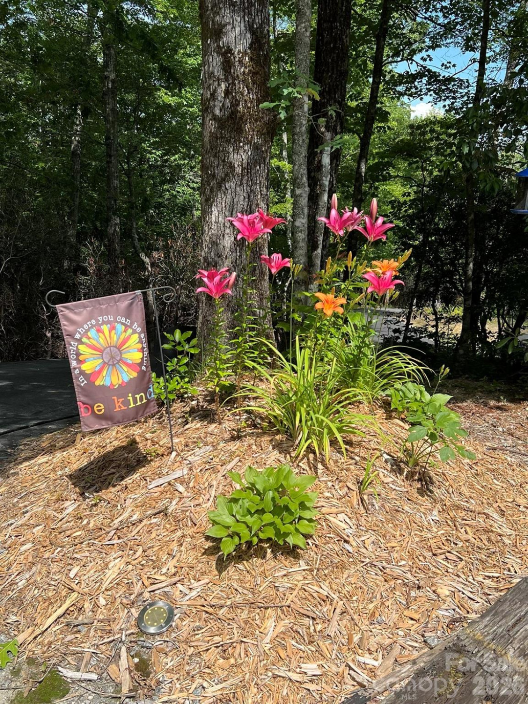 410 Forest Lake Road - Photo 44