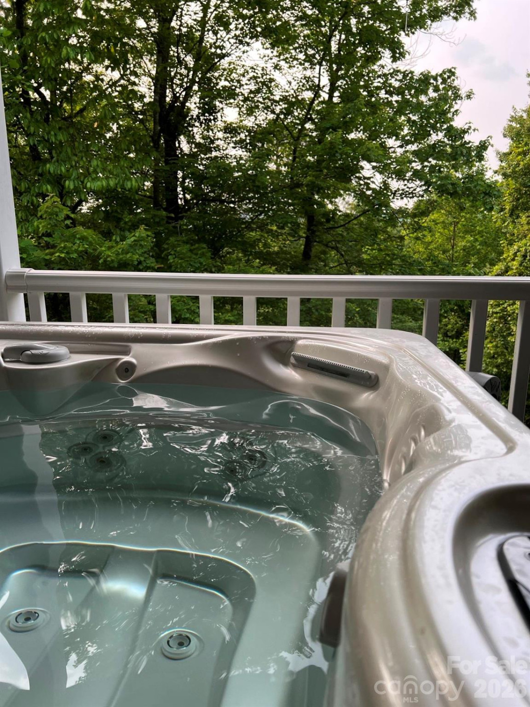 410 Forest Lake Road - Photo 45