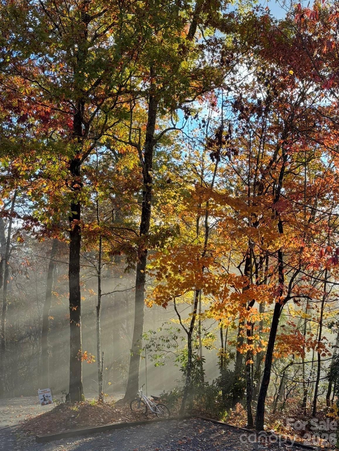 410 Forest Lake Road - Photo 47