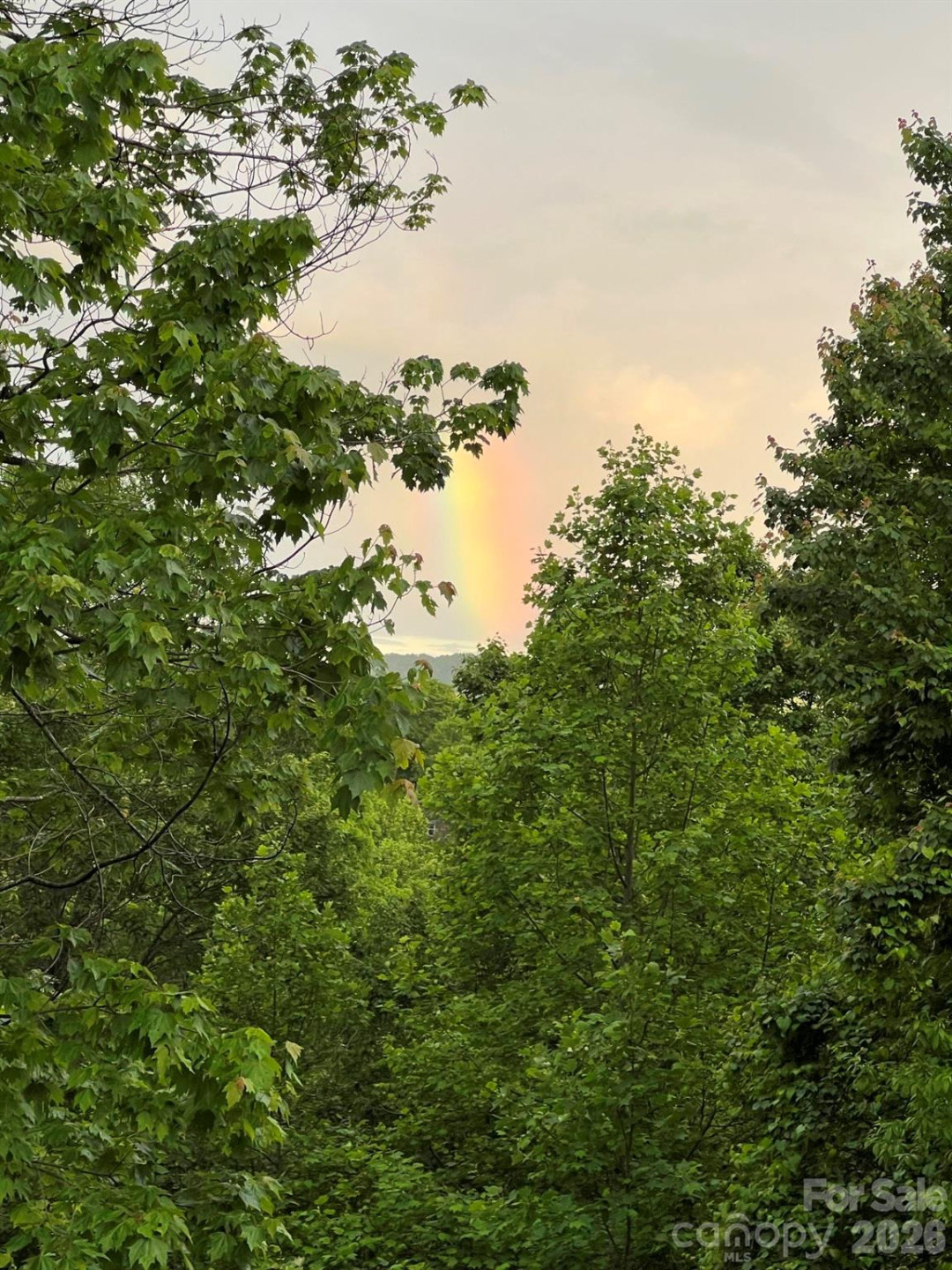 410 Forest Lake Road - Photo 48