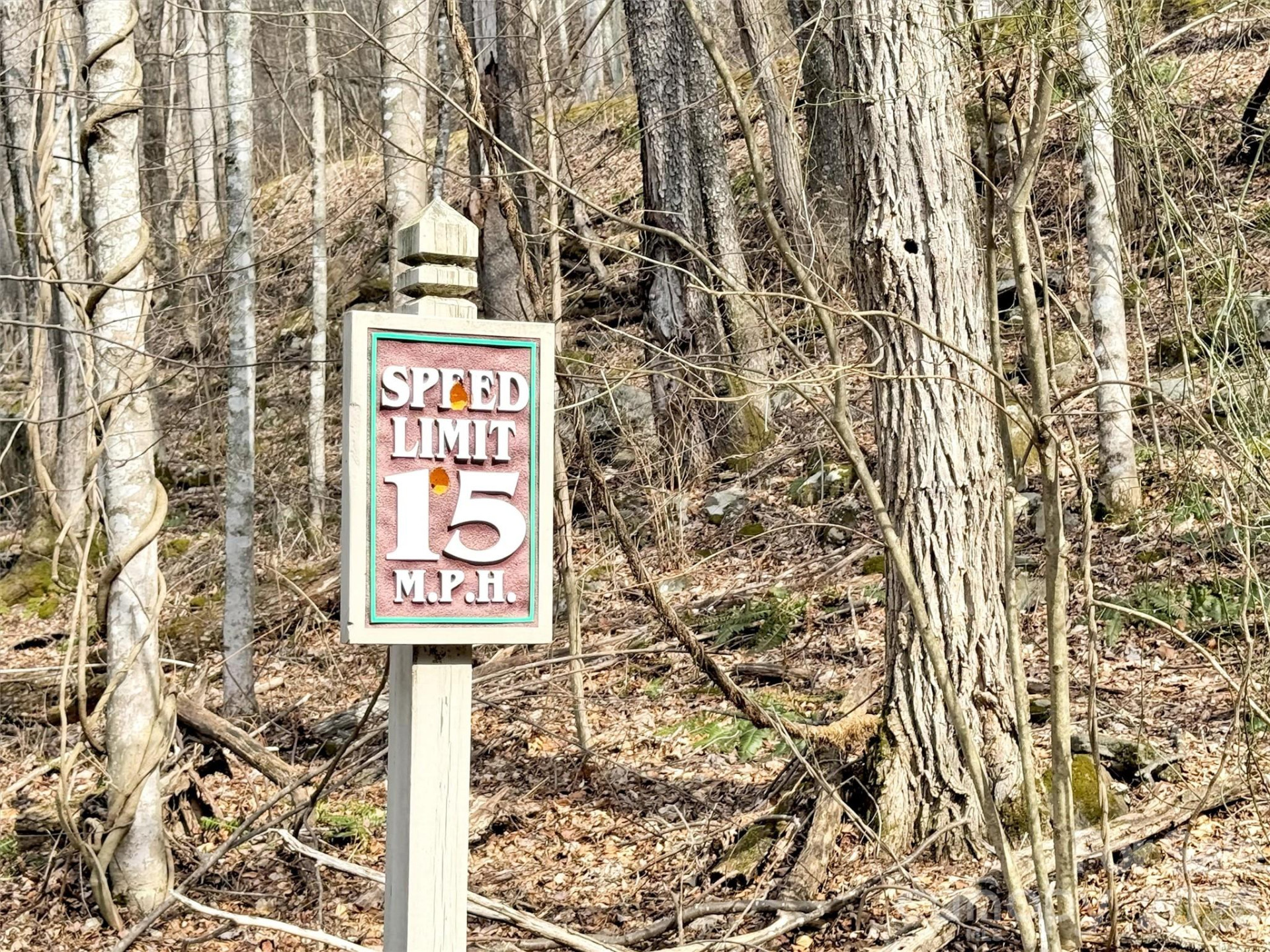 0 Jefferson Lane - Photo 14