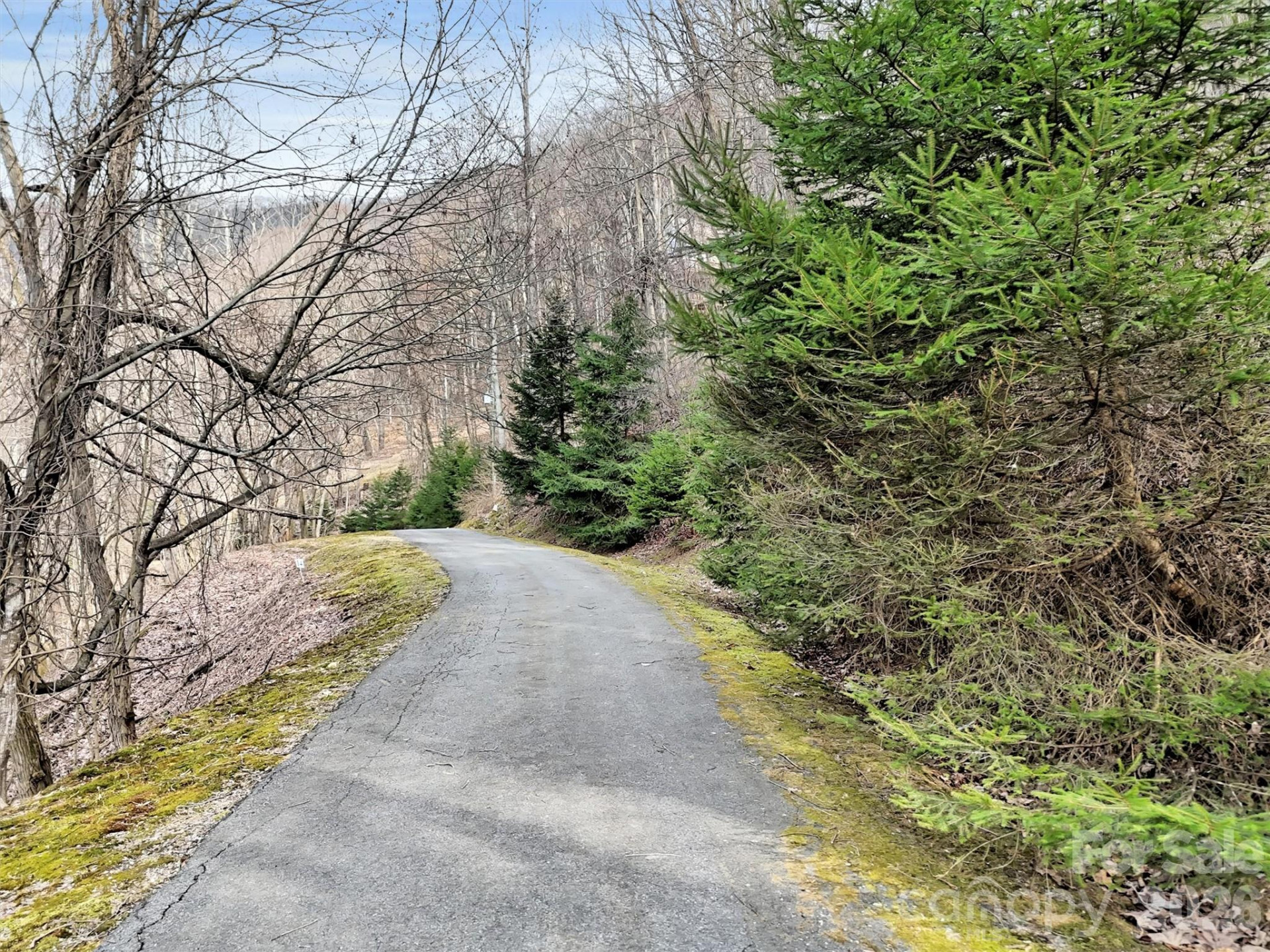 0 Jefferson Lane - Photo 4