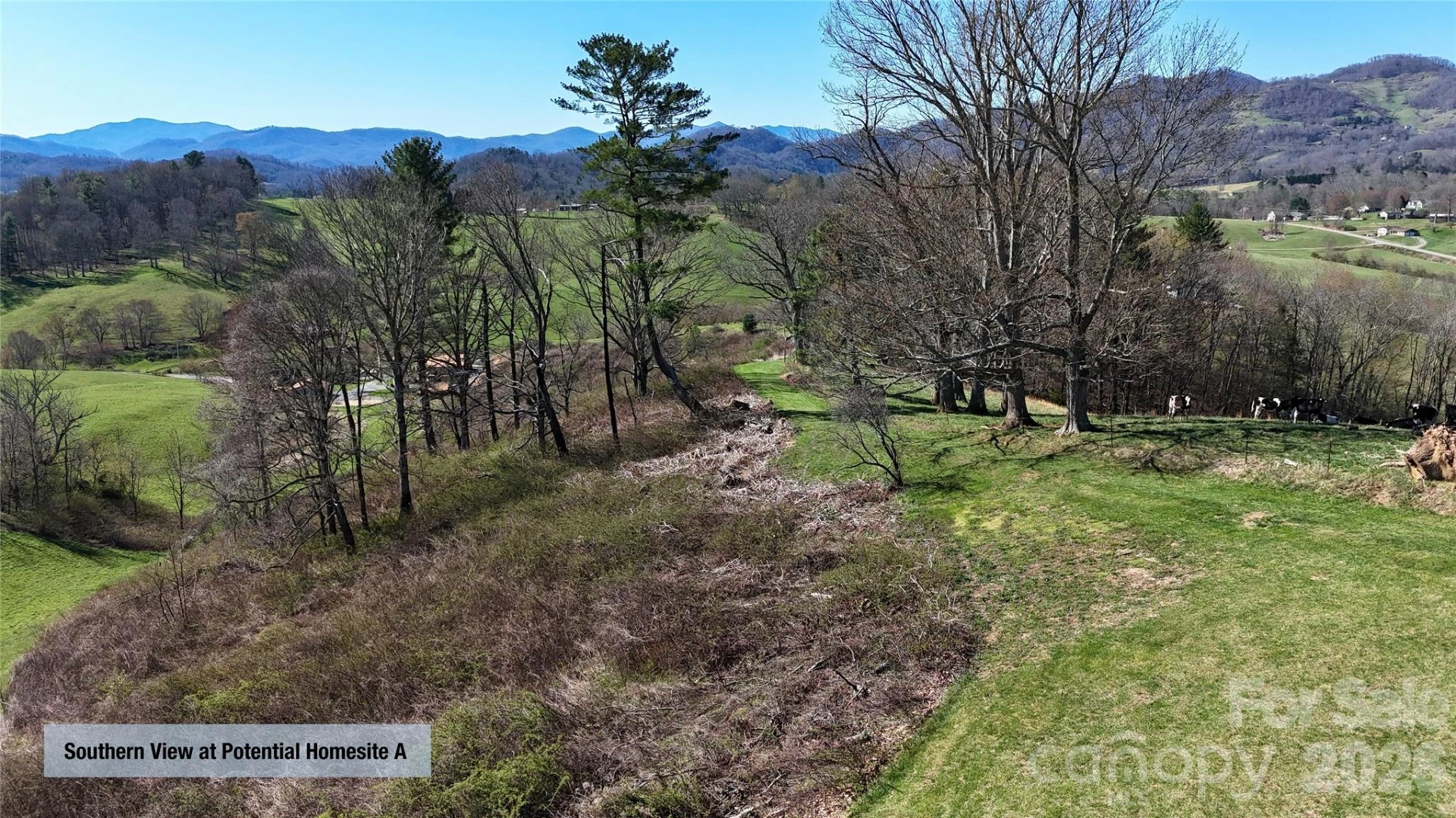 00000 Buck Ridge Road - Photo 11