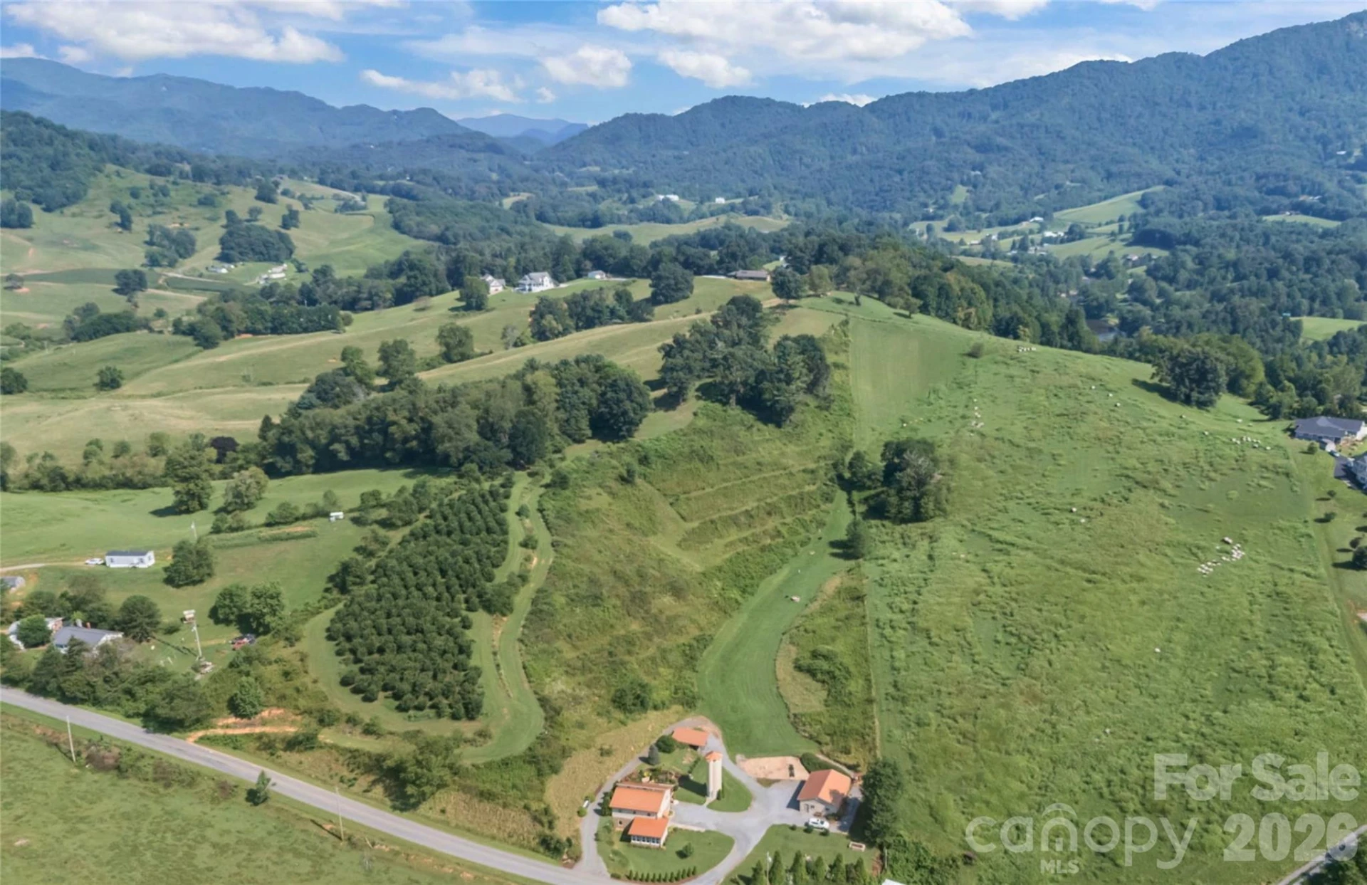 00000 Buck Ridge Road - Photo 18
