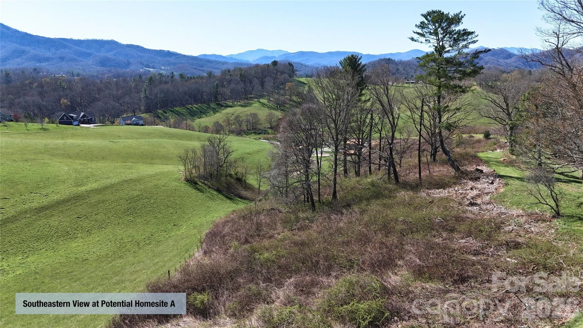 00000 Buck Ridge Road - Photo 10