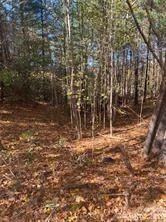 436 Sunset Point Parkway #39 - Photo 3