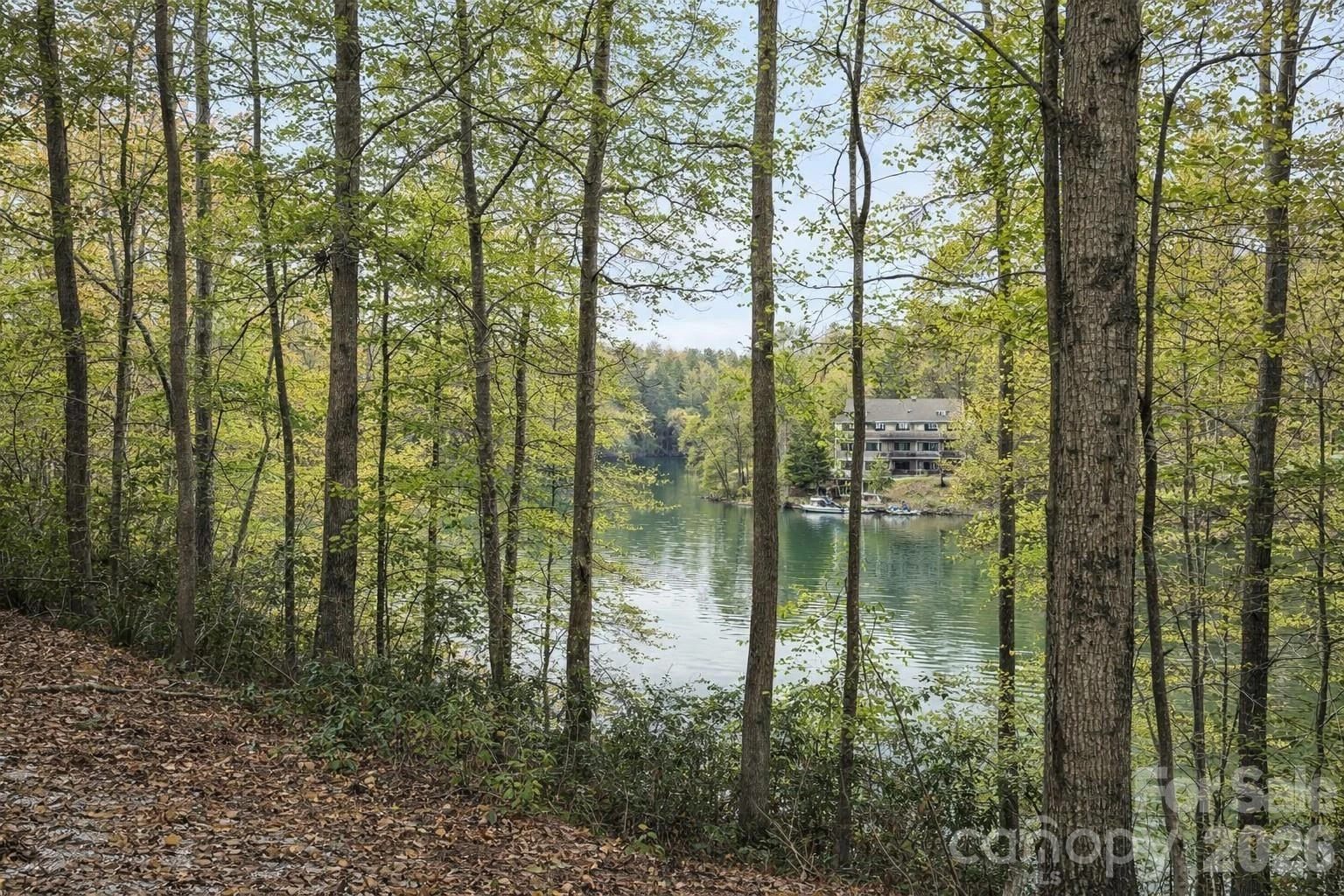 00 Lake Adger Parkway #Lot 7 - Photo 4