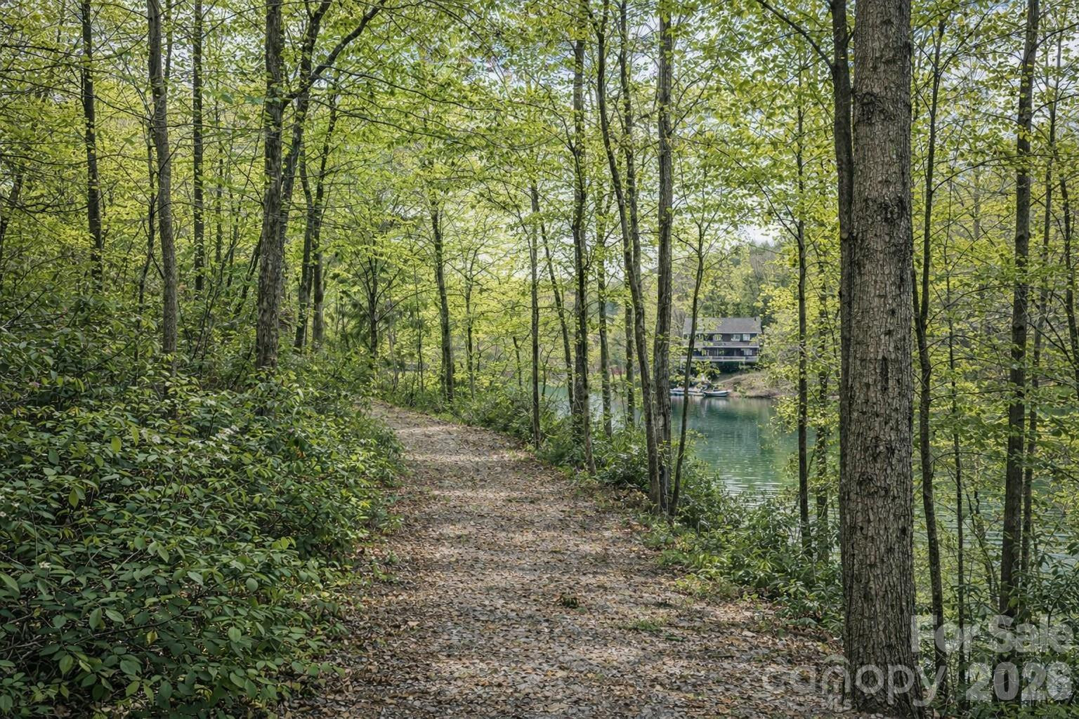00 Lake Adger Parkway #Lot 7 - Photo 5
