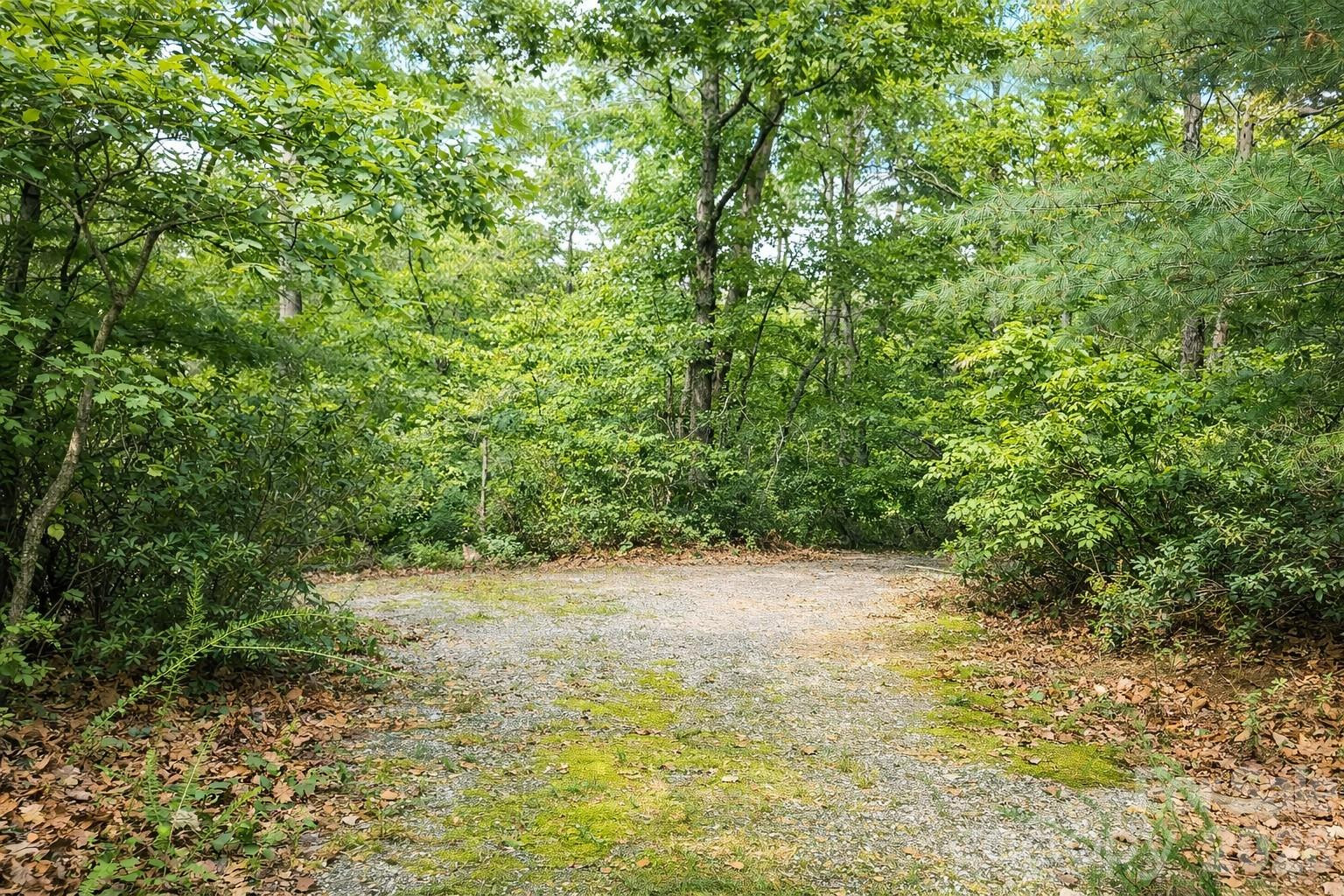 00 Lake Adger Parkway #Lot 7 - Photo 6