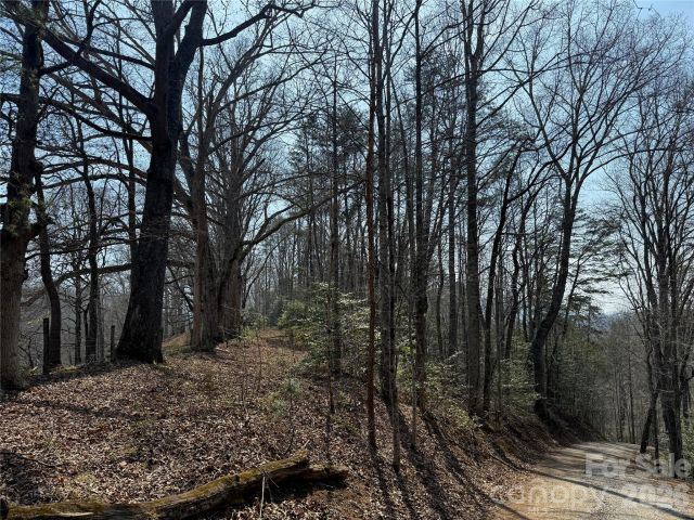 Lot 1 & 2 Boot Hill Road, Whittier, NC, 28789