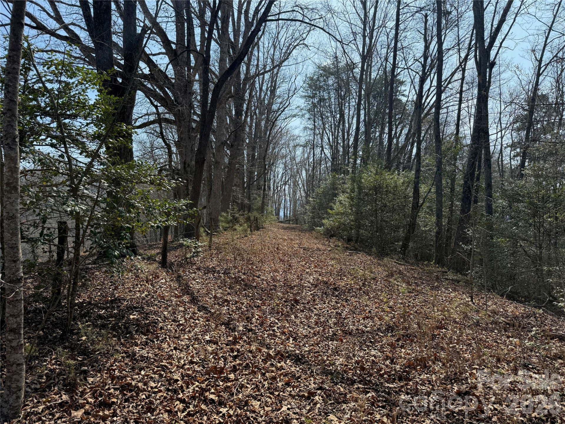 Lot 1 & 2 Boot Hill Road - Photo 2