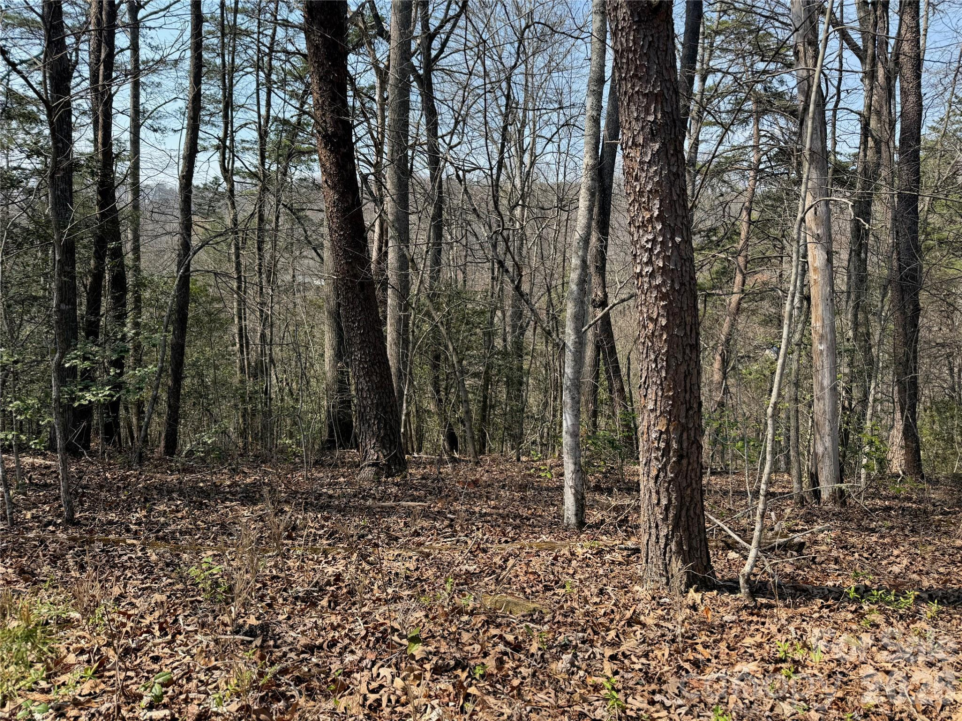 Lot 1 & 2 Boot Hill Road - Photo 4