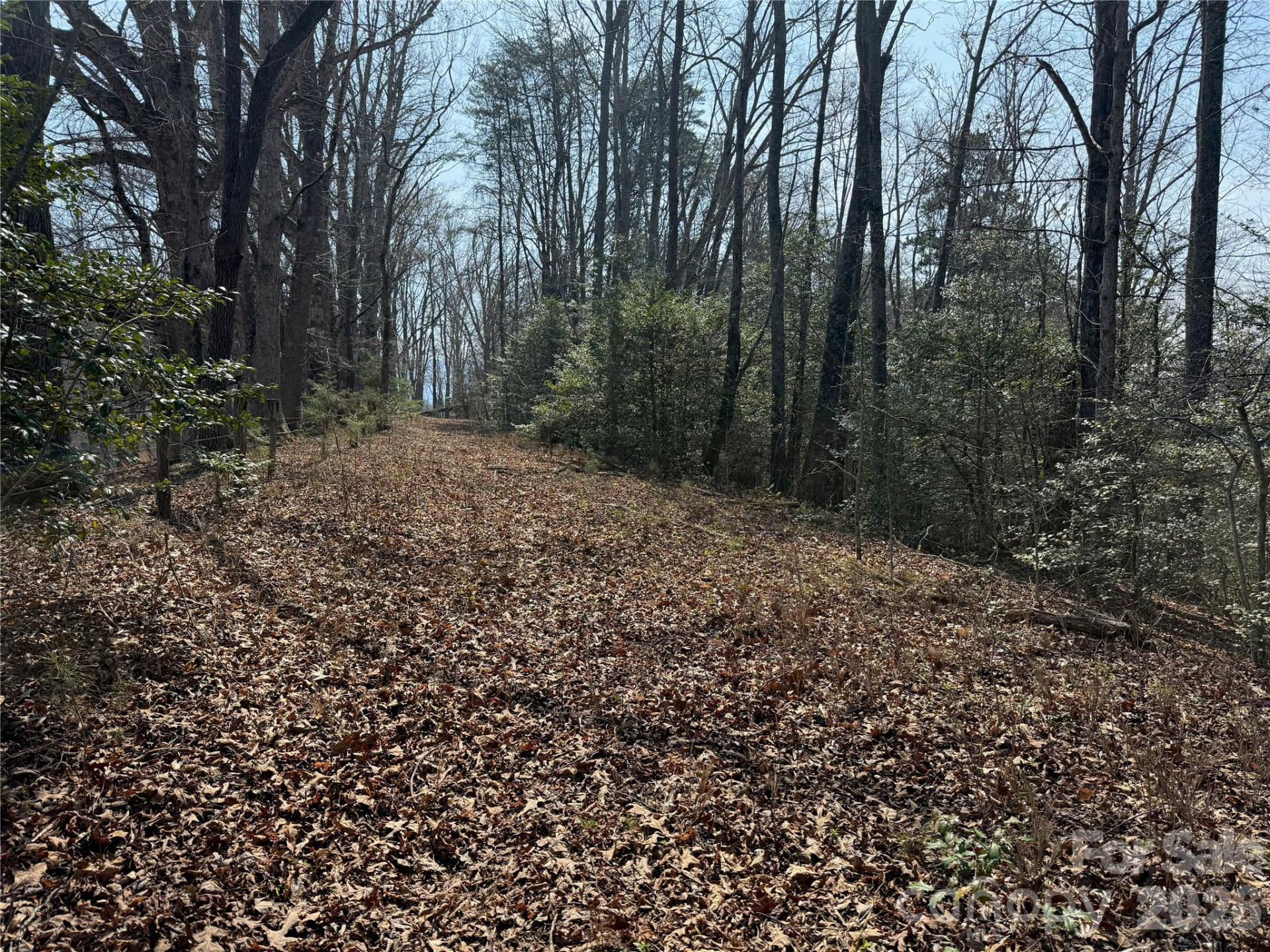 Lot 1 & 2 Boot Hill Road - Photo 5