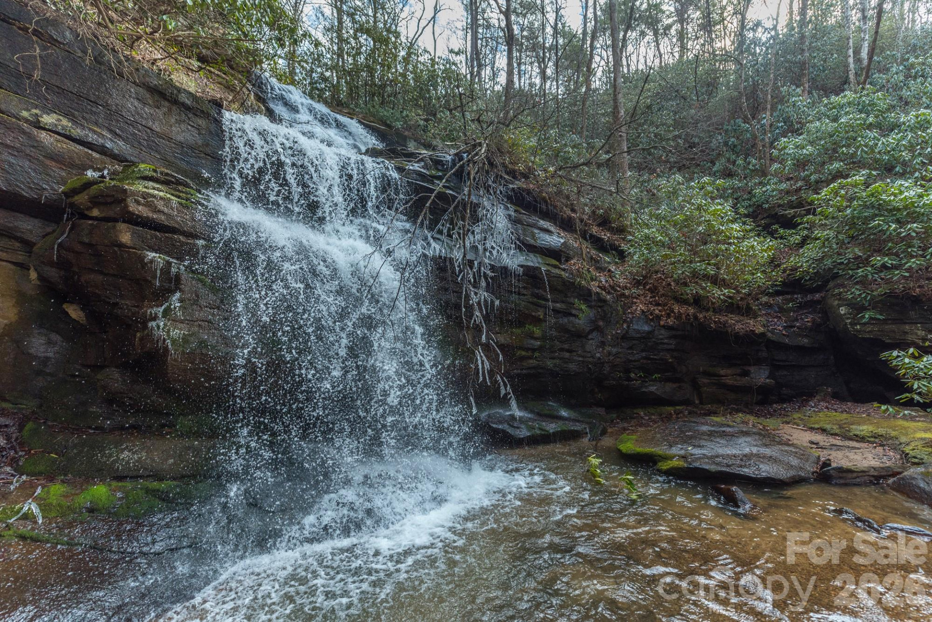 62 Skyline Drive - Photo 48