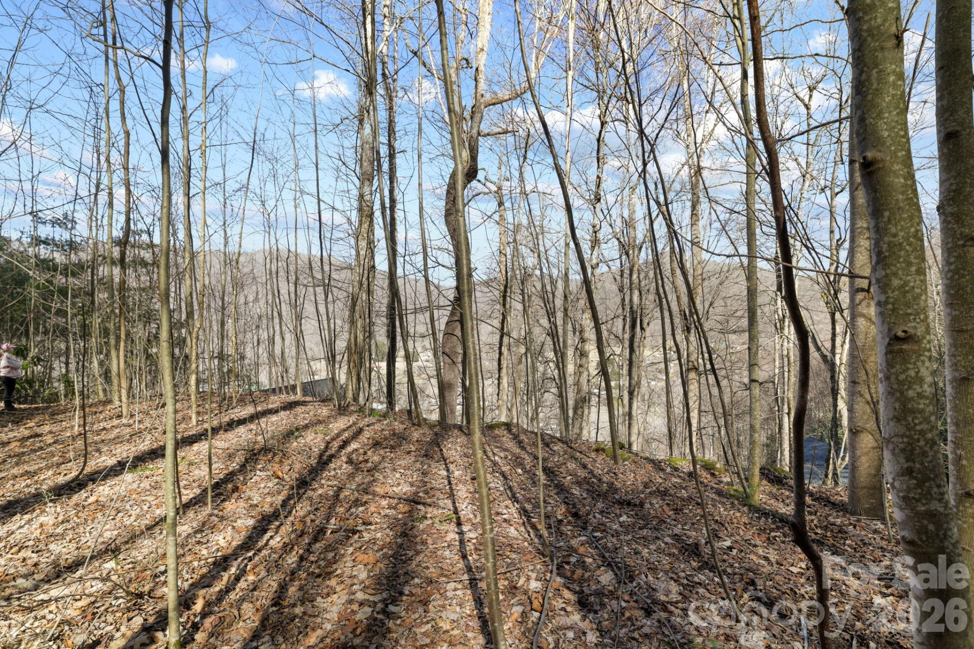 00 Lady Bug Lane #26 - Photo 2