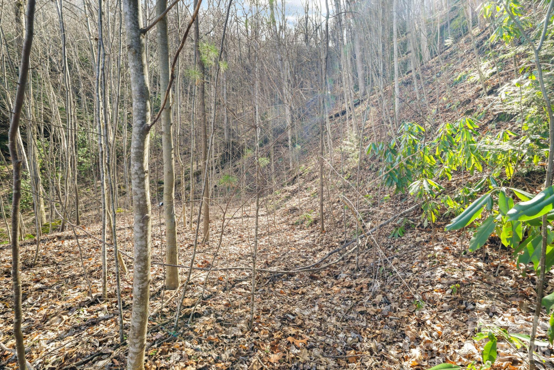 00 Lady Bug Lane #26 - Photo 3