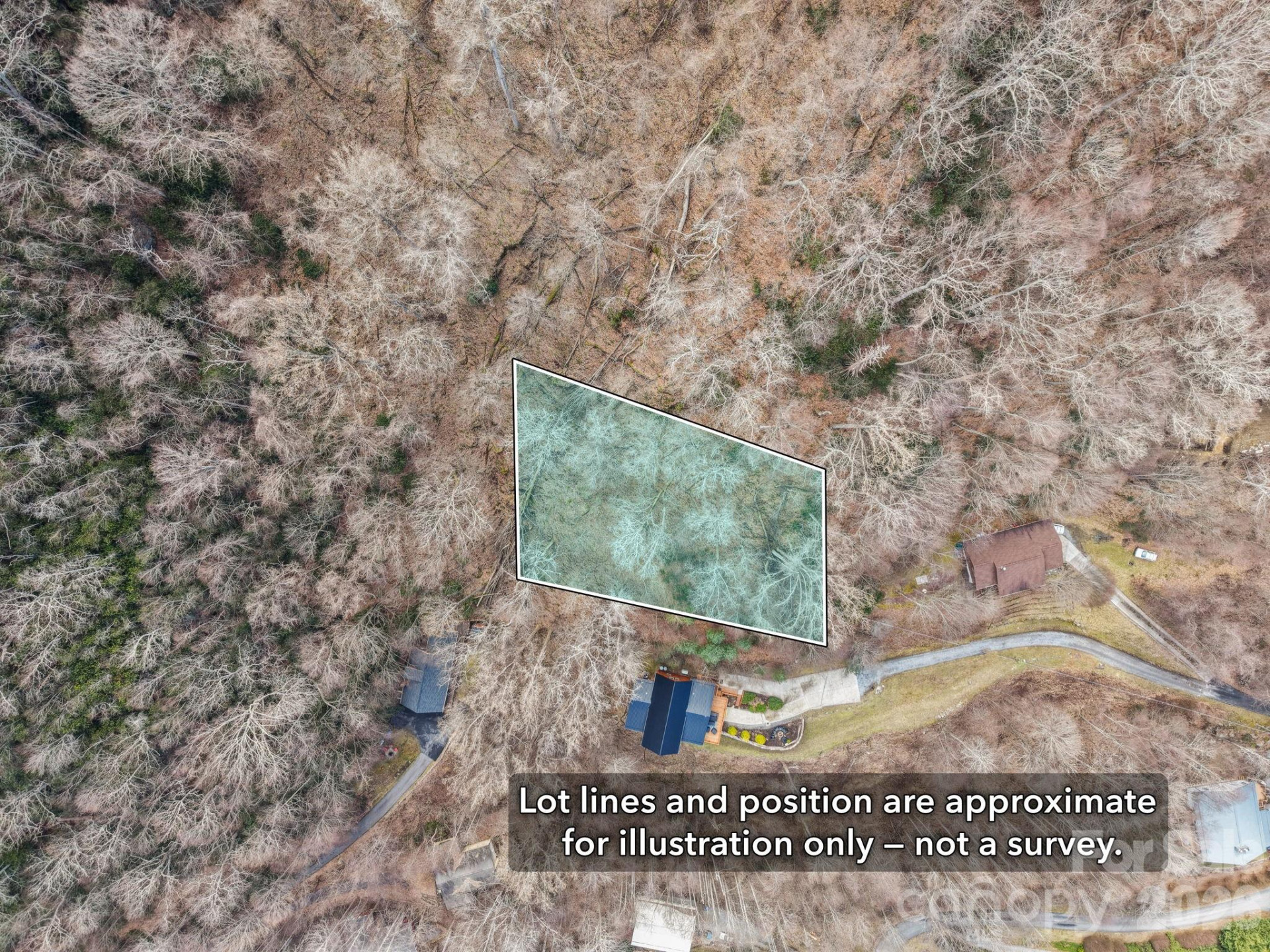 00 Lady Bug Lane #26 - Photo 6