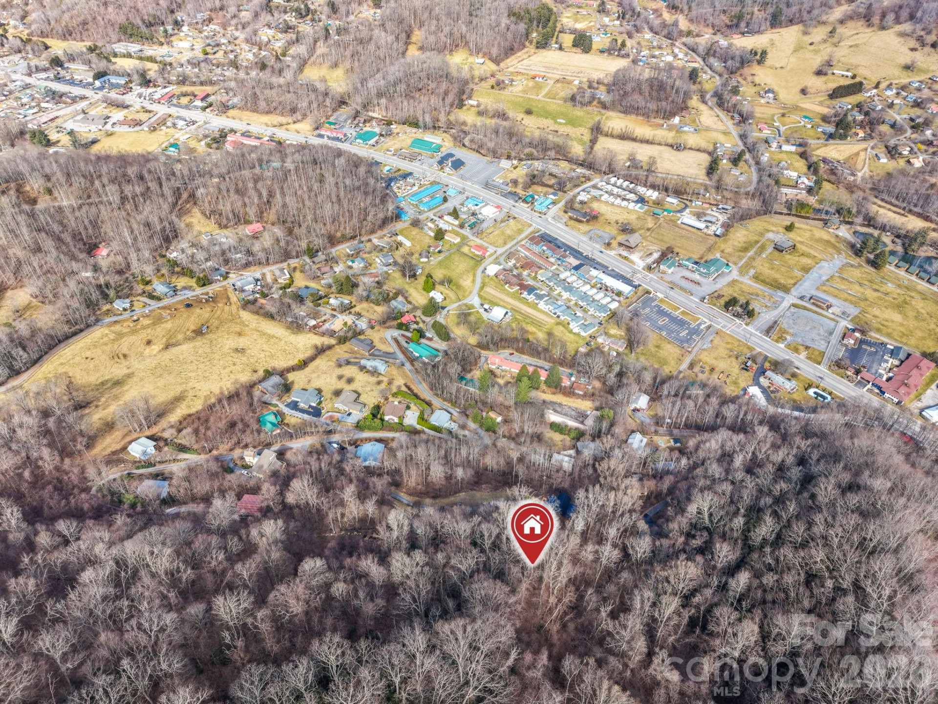 00 Lady Bug Lane #26 - Photo 9